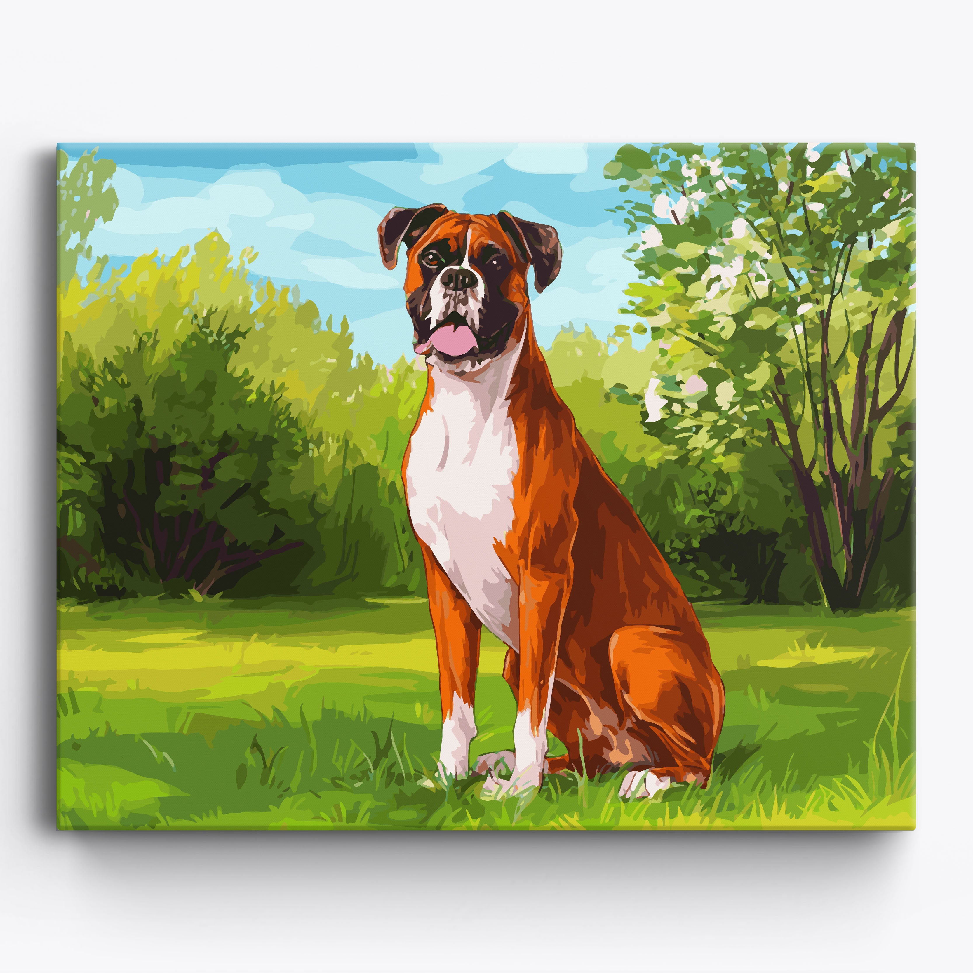 Boxer Bliss Framed / 50x40cm