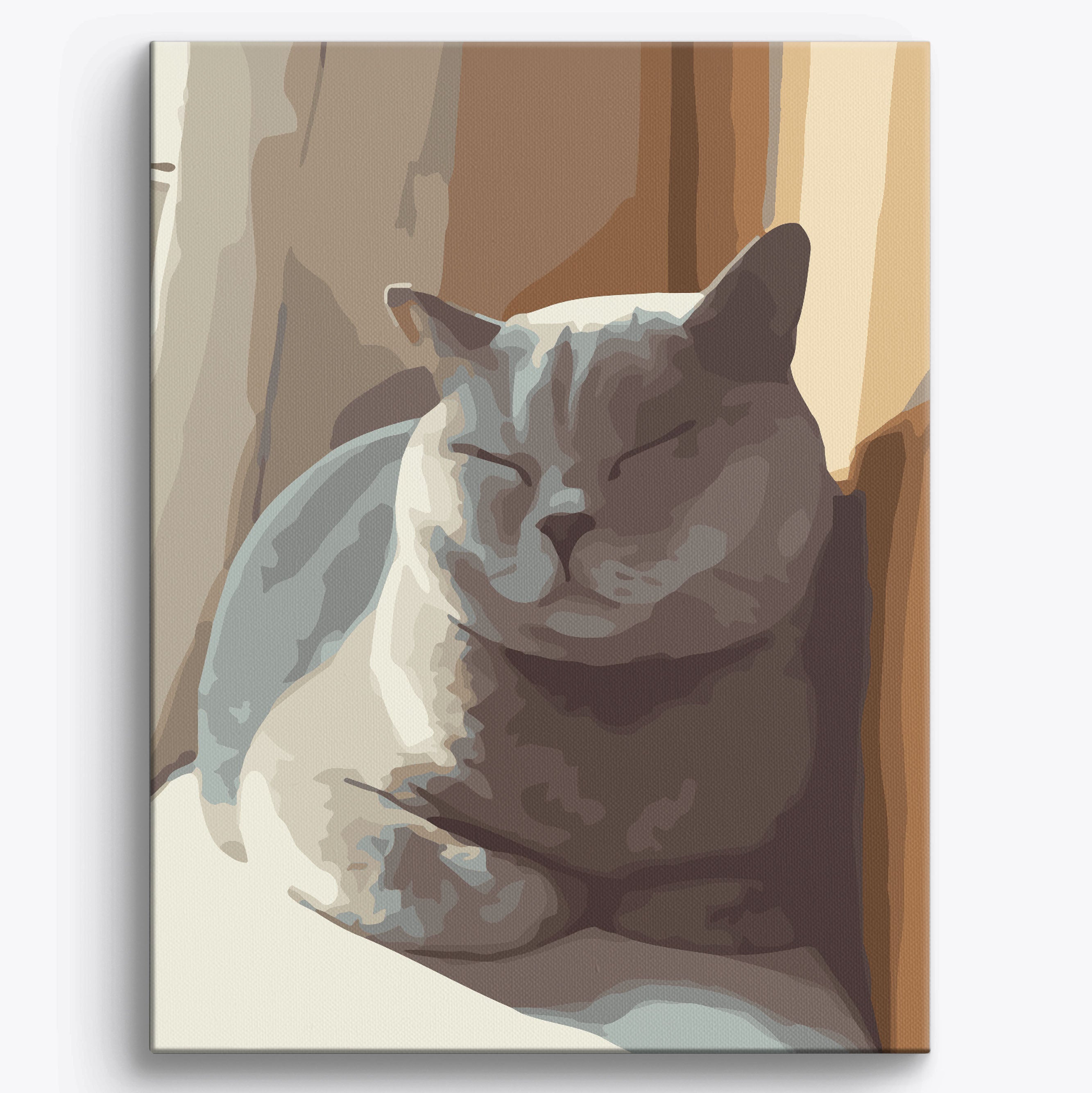Sleeping British Shorthair No Frame / 40x50cm