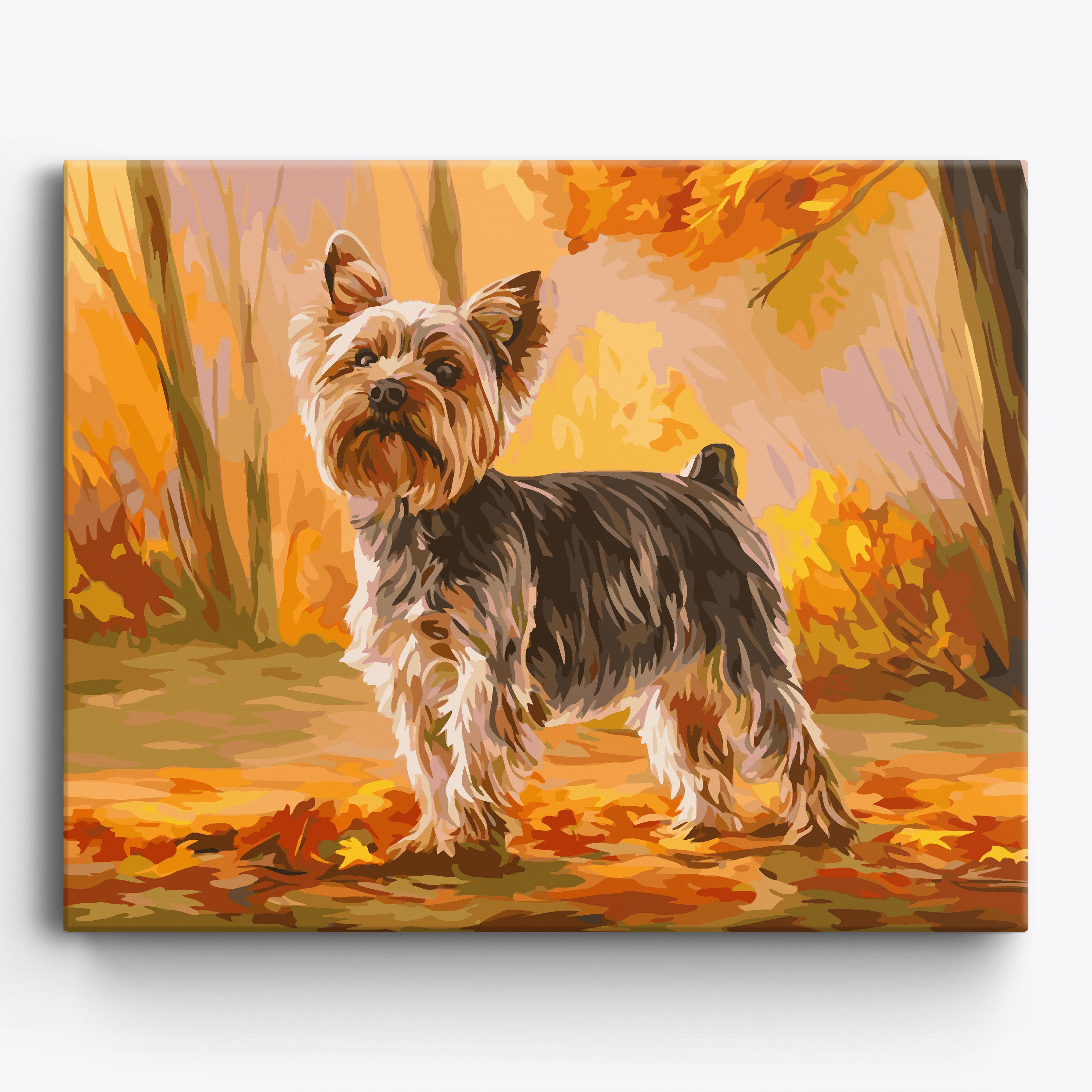 Proud Yorkshire Terrier No Frame / 50x40cm
