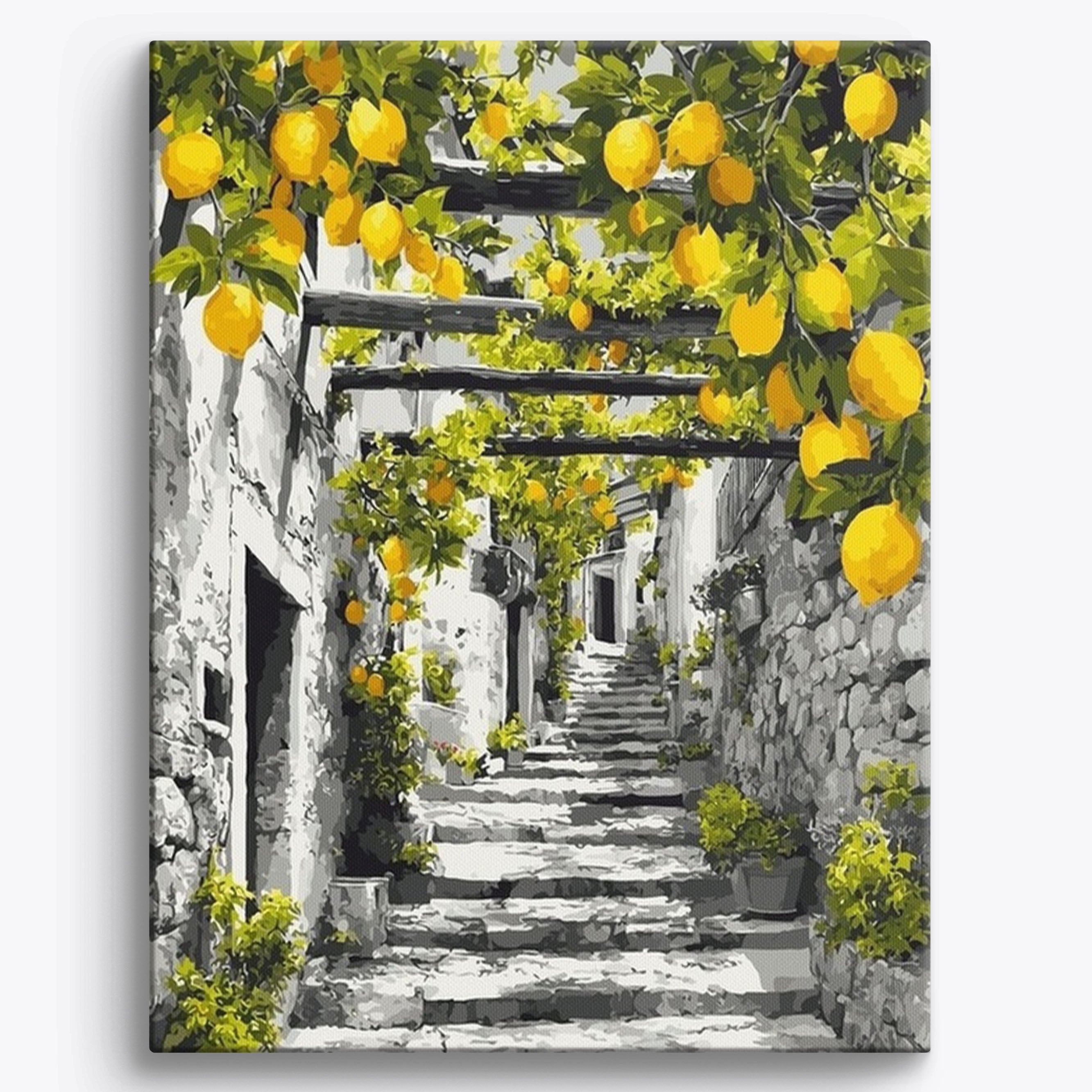 Citrus Lane