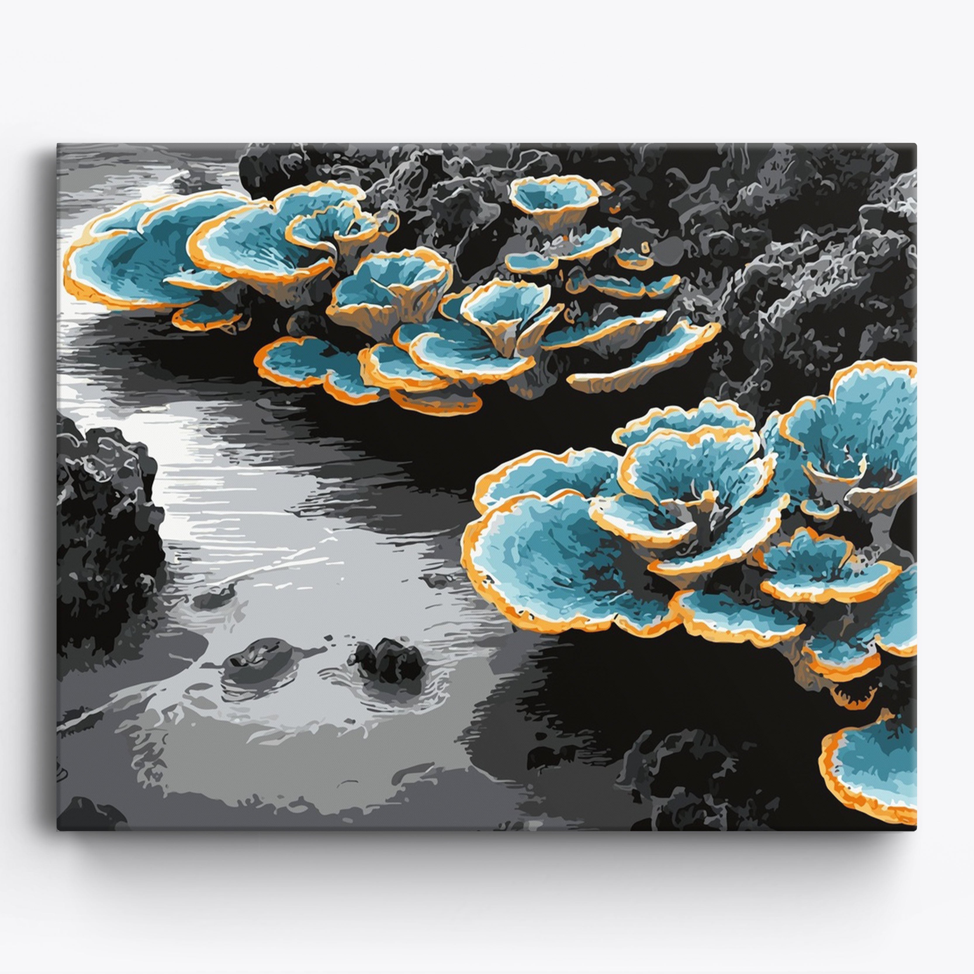 Coral Tide