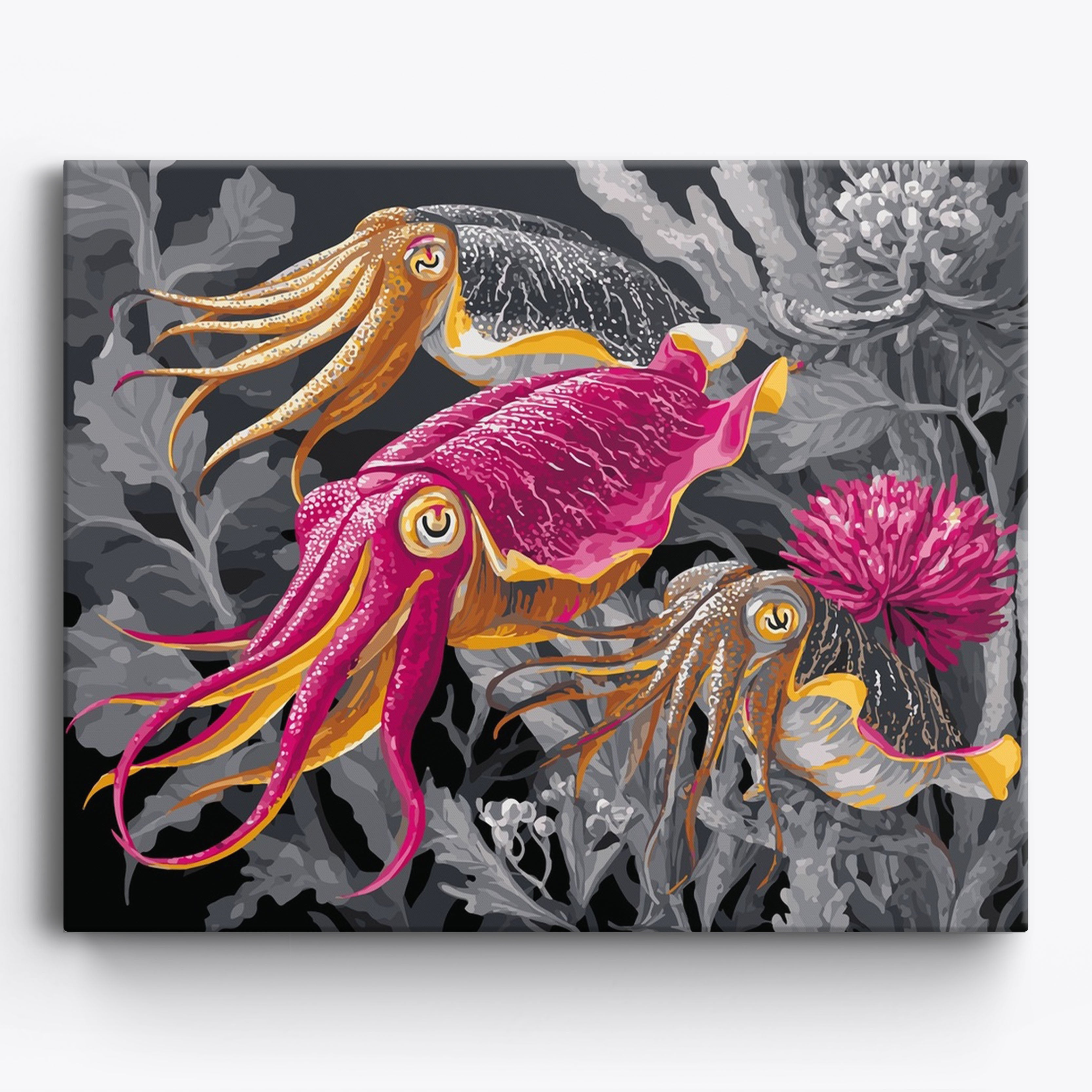 Tide Mollusk