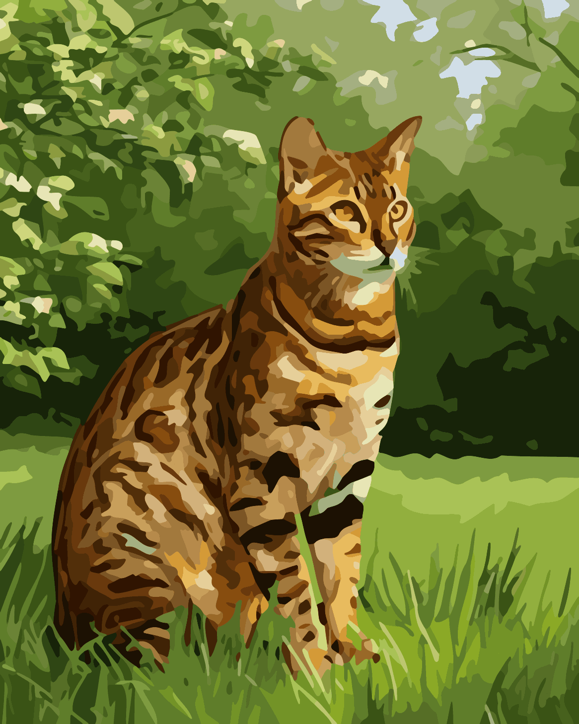 Bengal Meadow