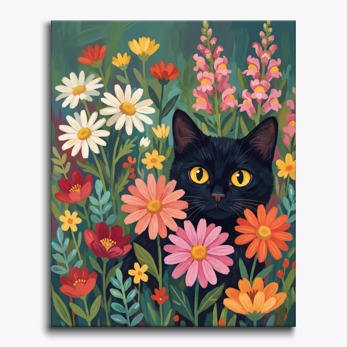 Black Cat Flowers
