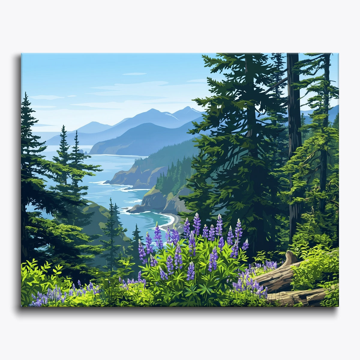 Coastal Forest View