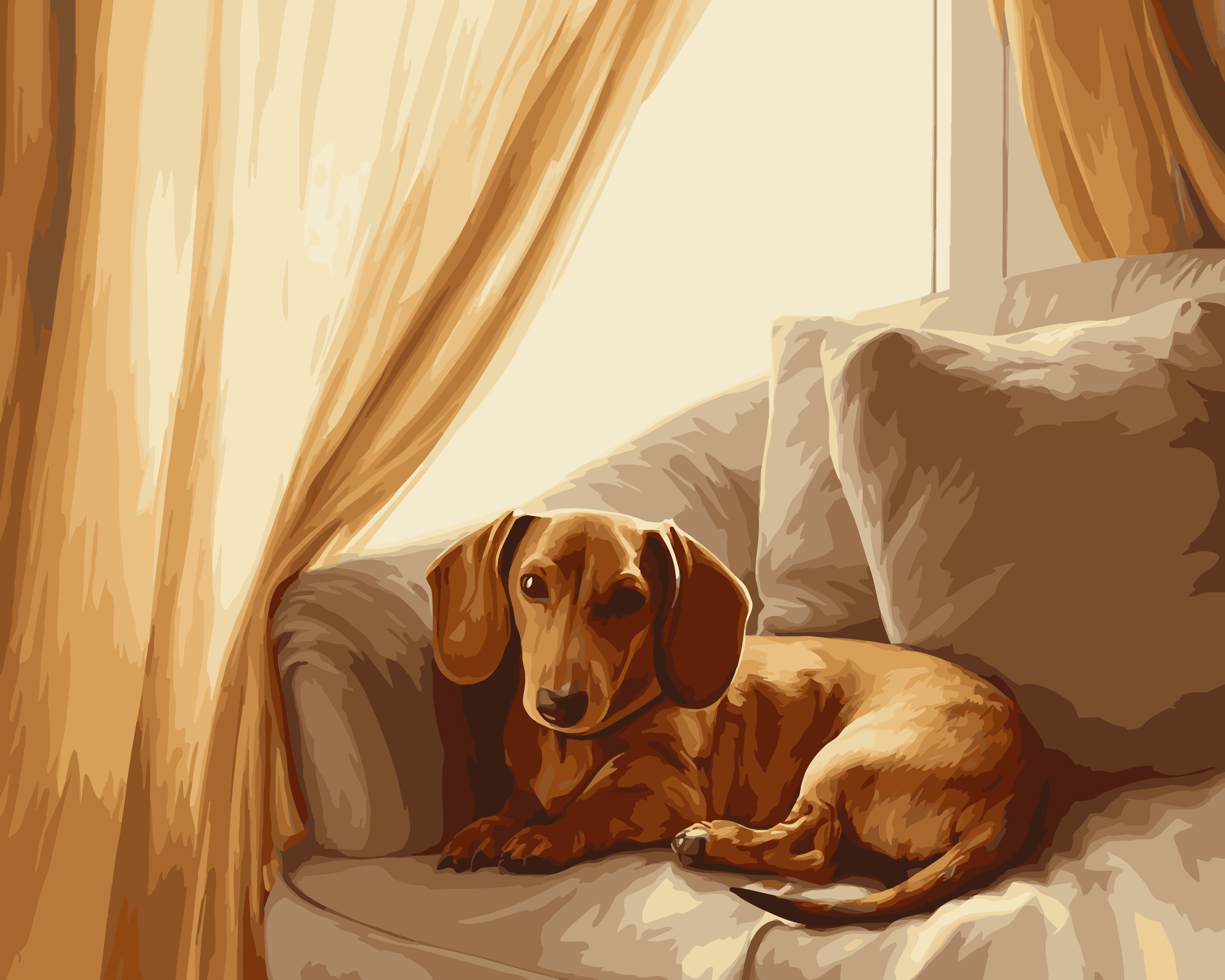 Dachshund Gaze
