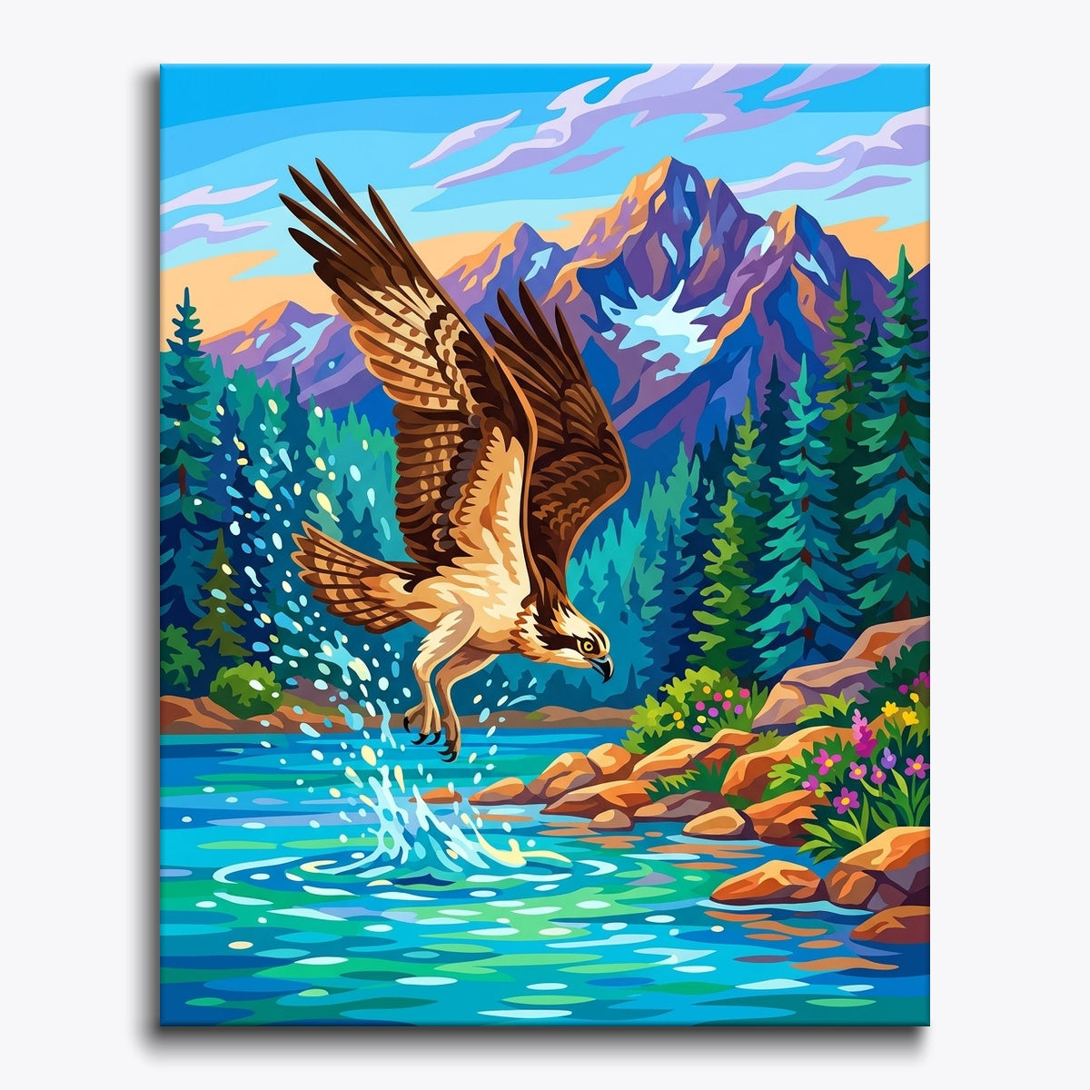 Alpine Osprey paint by numbers kit