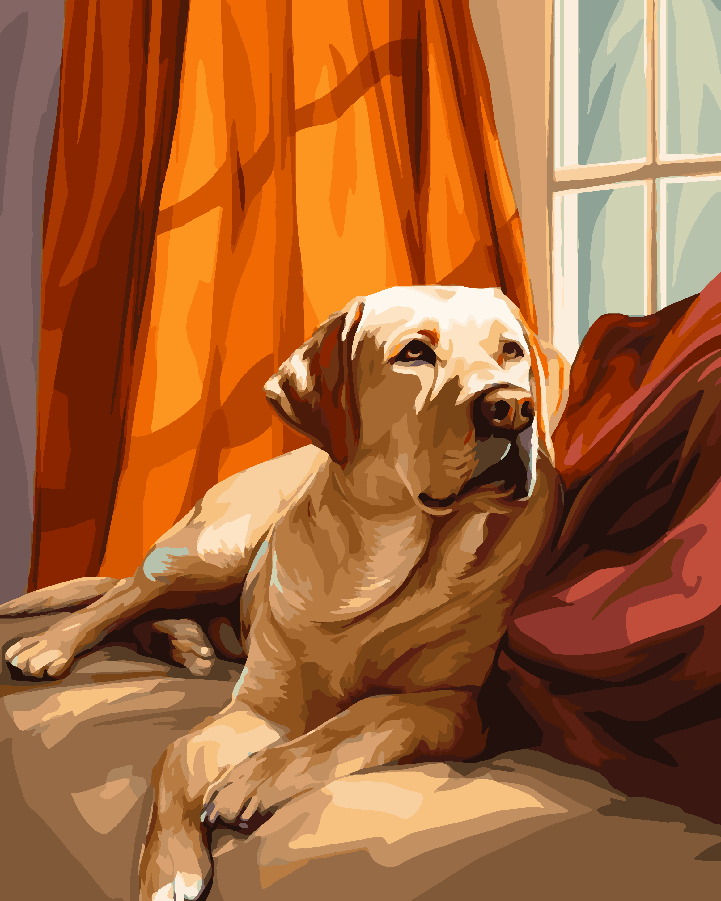 Laying Labrador