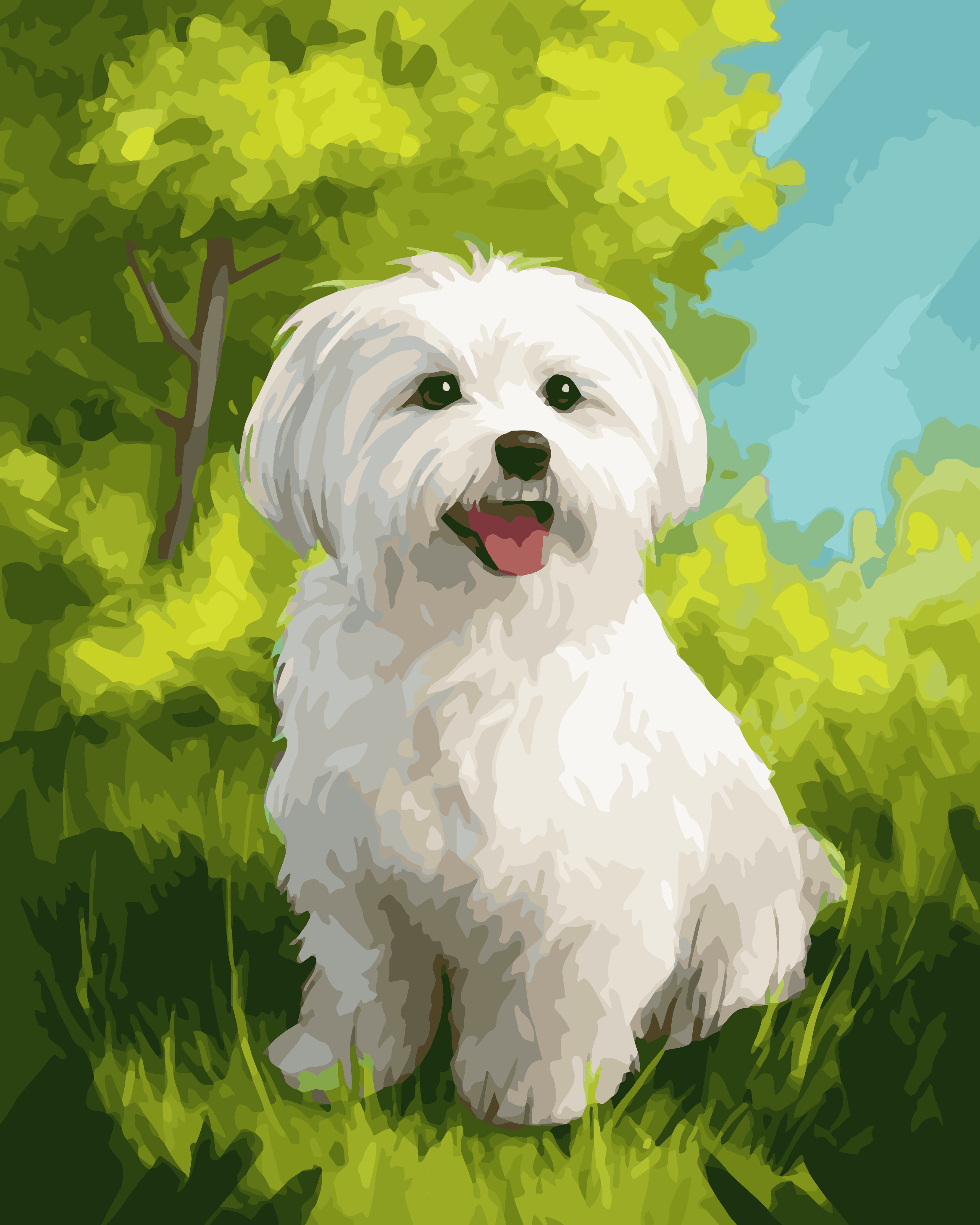 Maltese Meadow