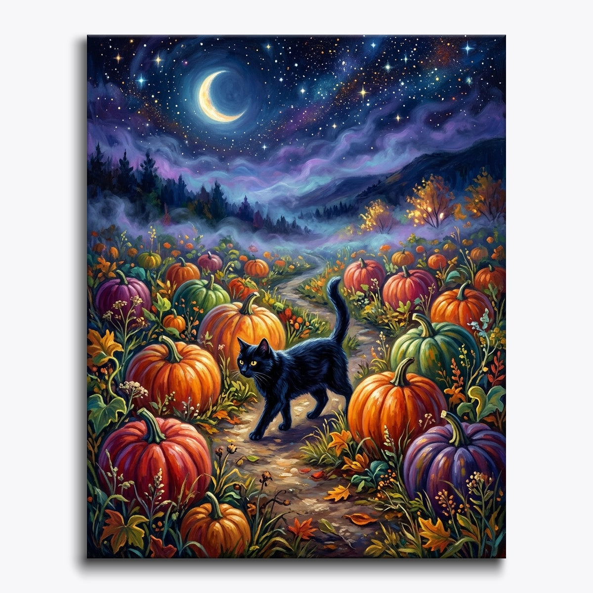 Black Cat In Pumpkin Field