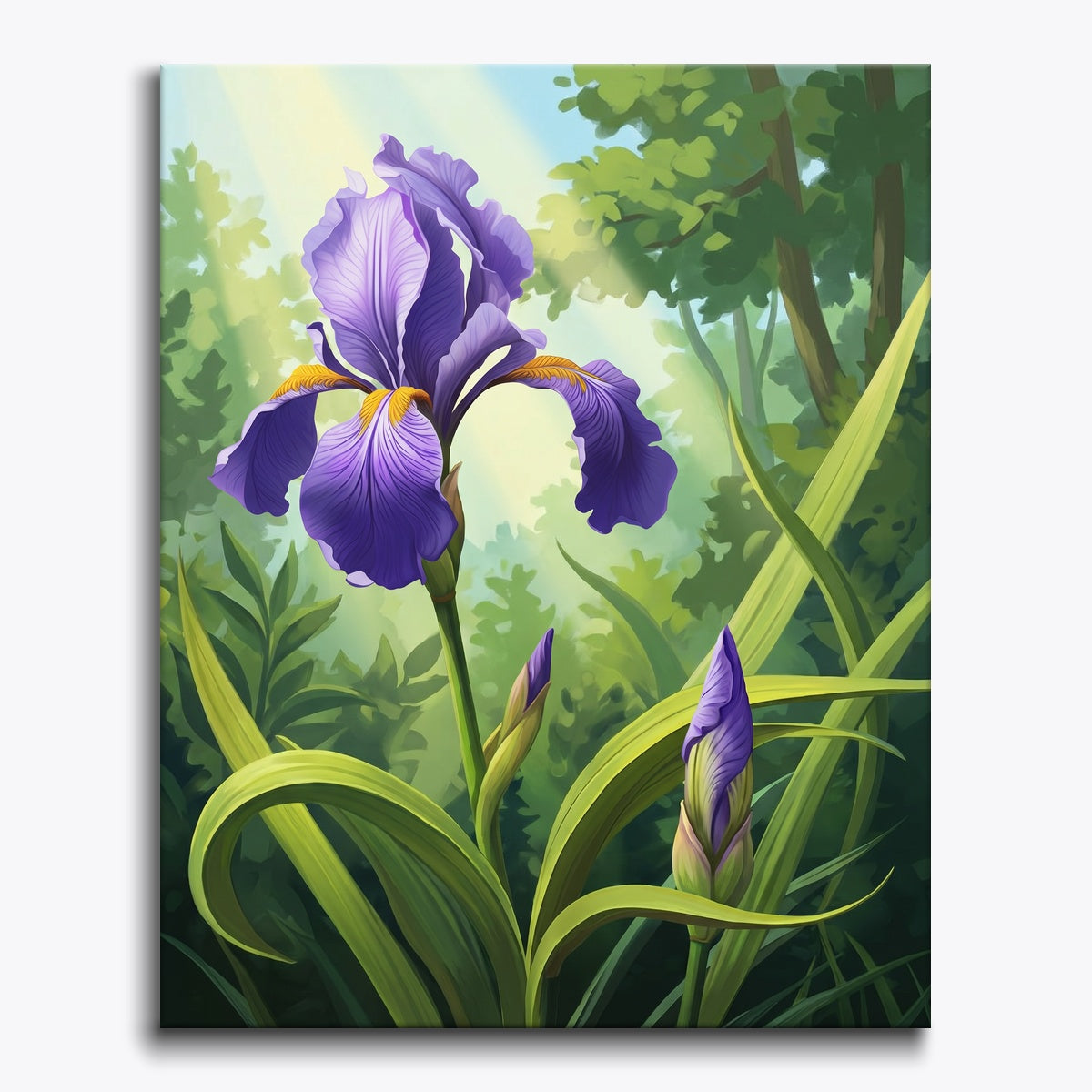 Purple Iris Flower