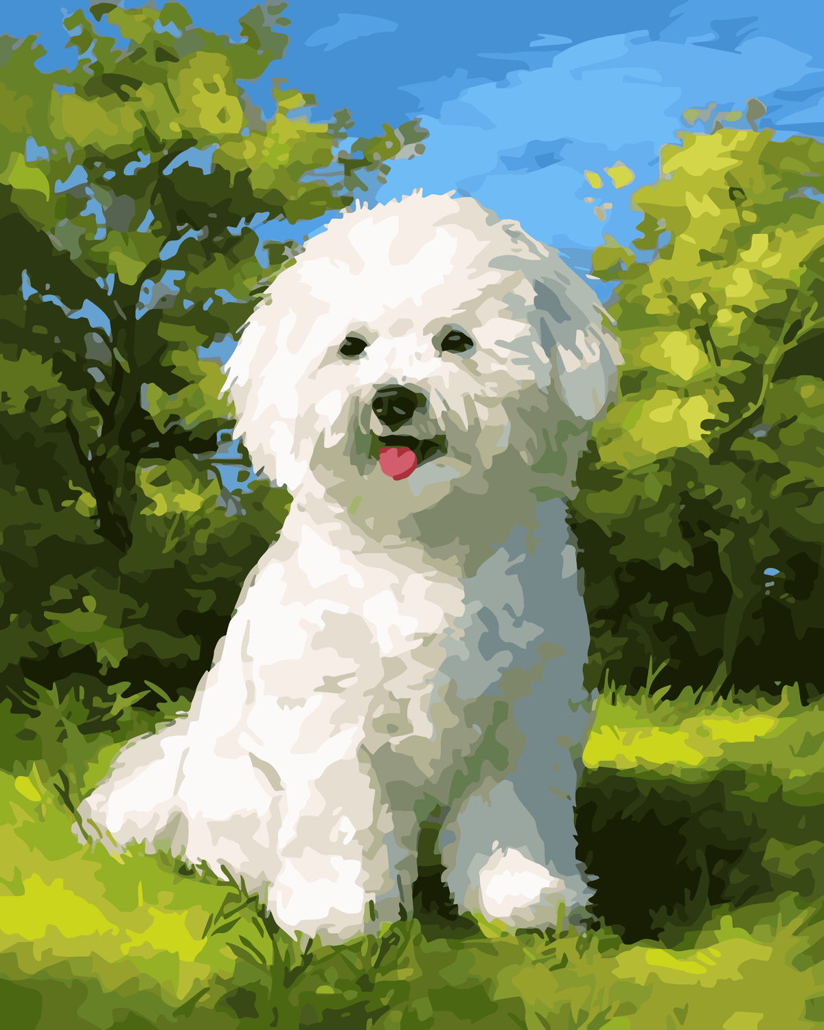 Smiling Bichon Frise