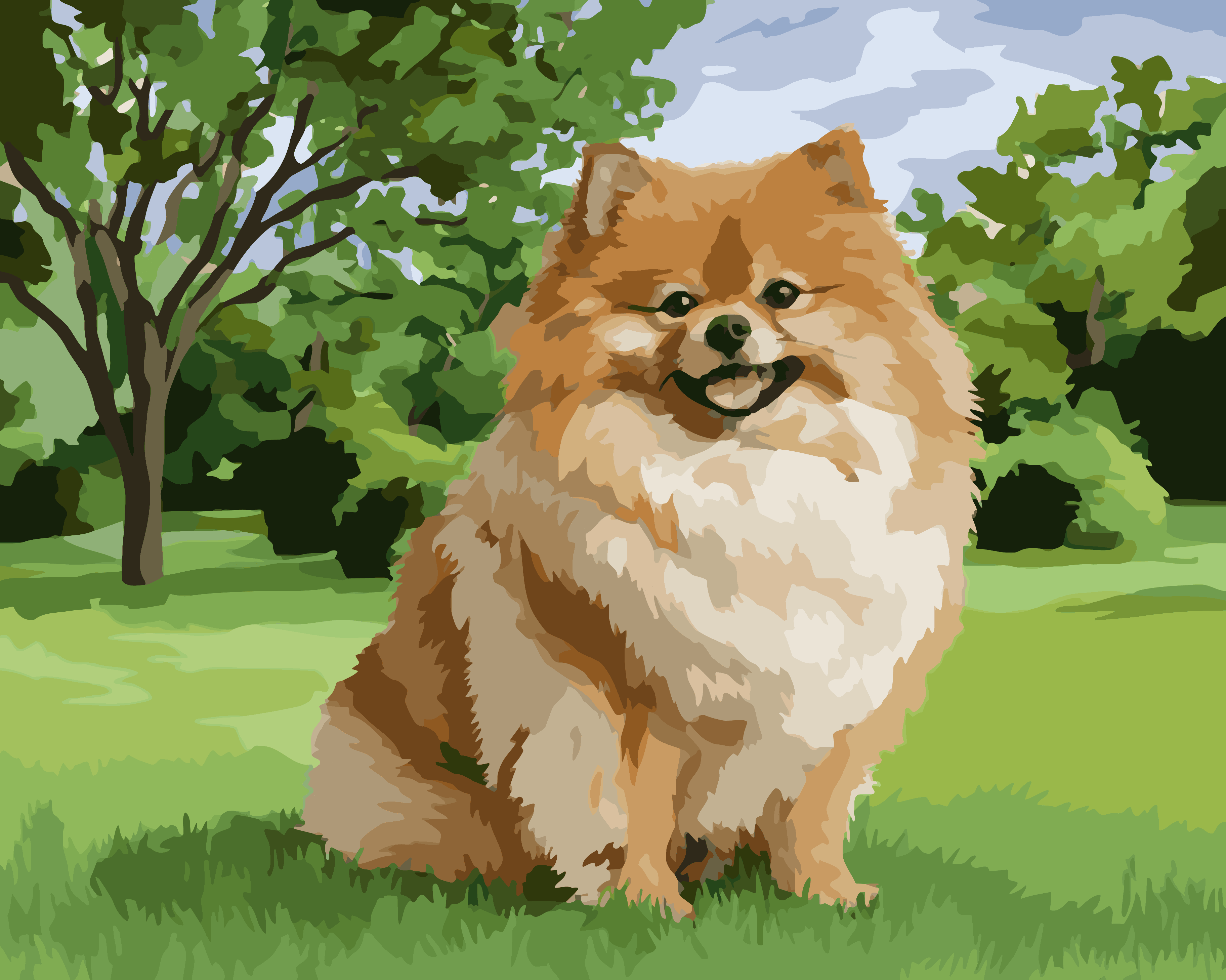 Fluffy Pomeranian