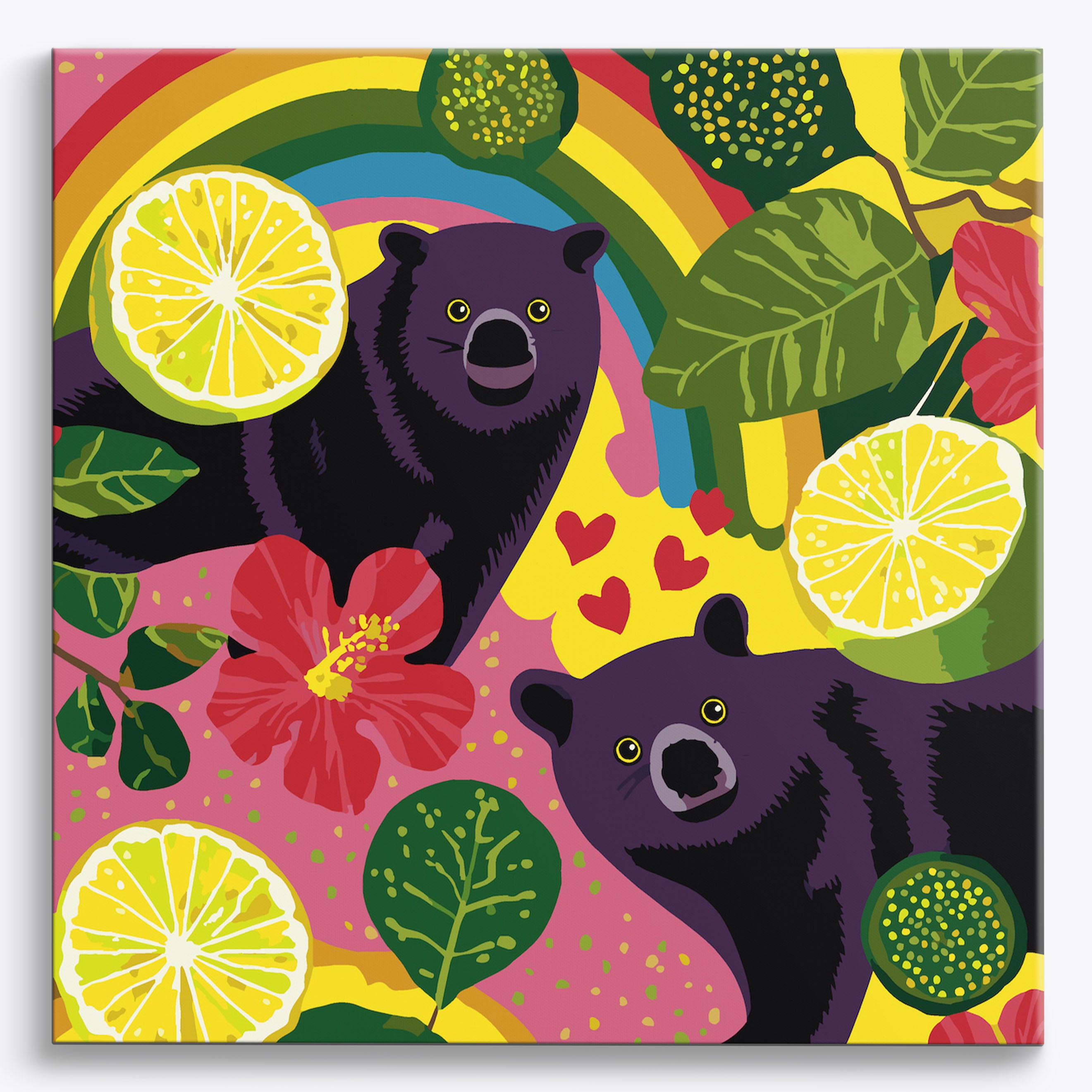 Rainbow Binturongs No Frame / 40x40cm