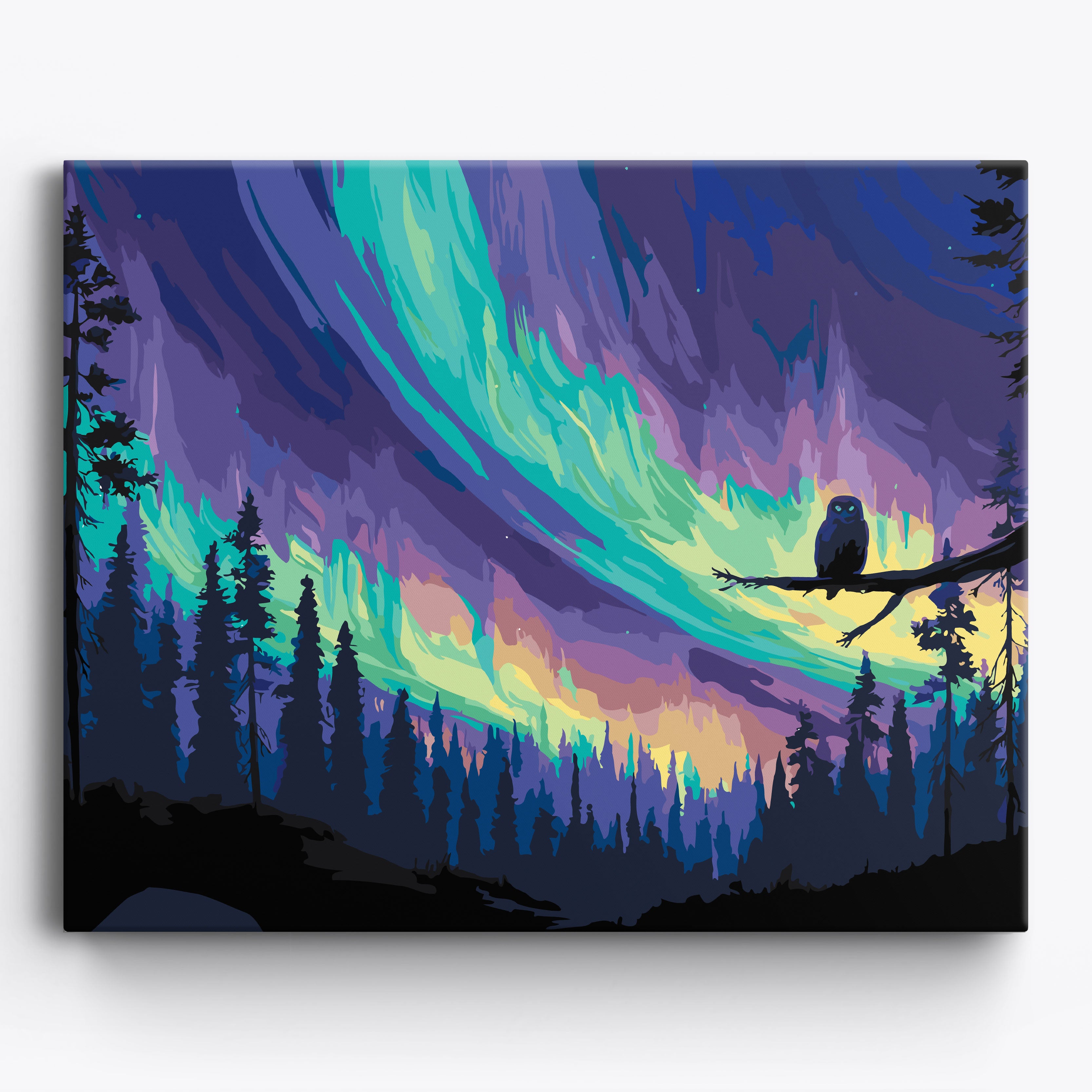 Owl's Night No Frame / 50x40cm