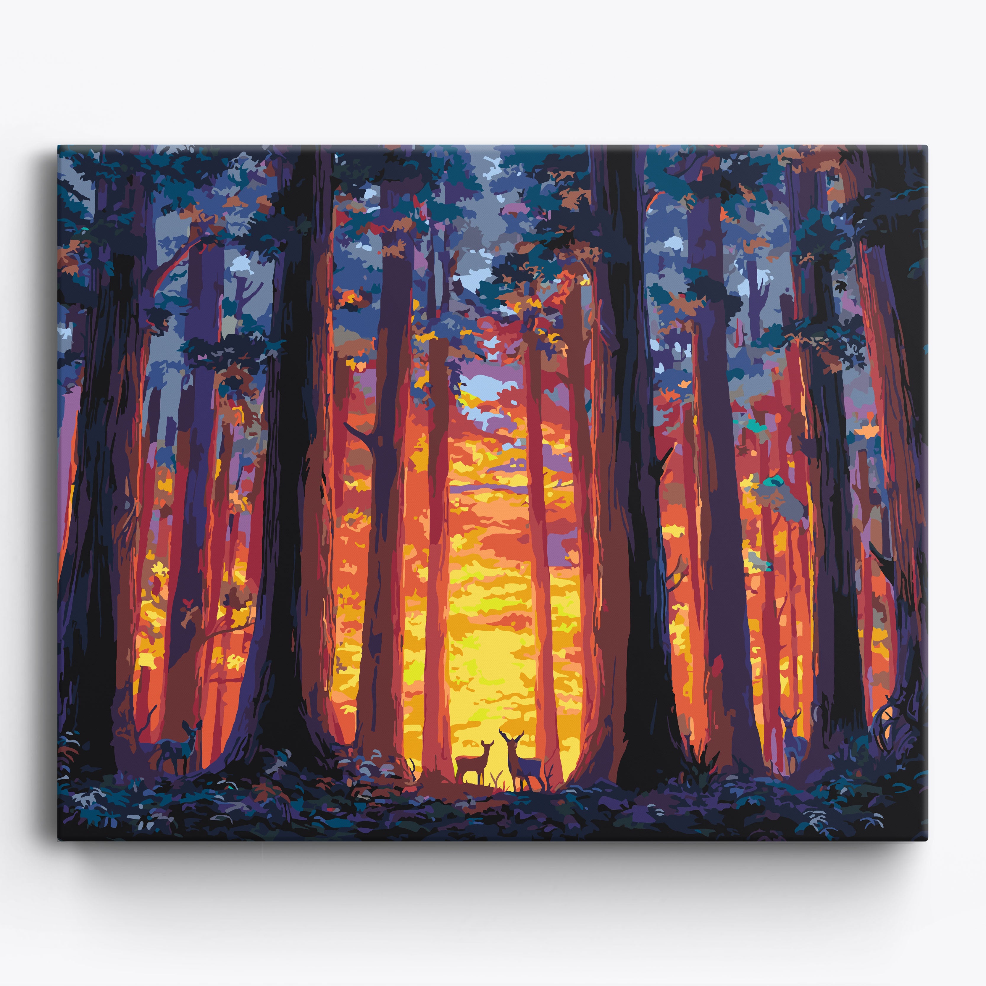 Twilight Redwoods No Frame / 50x40cm