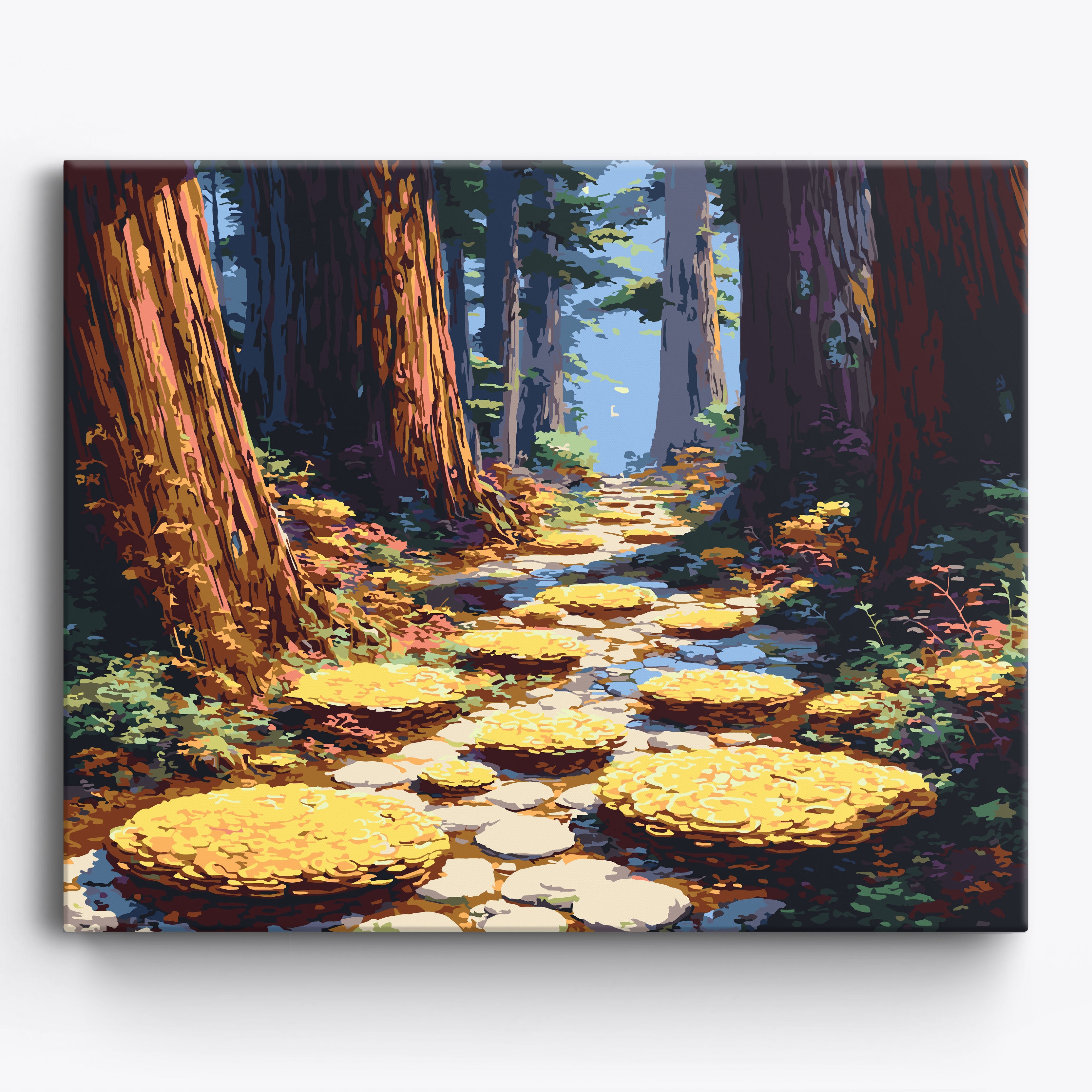Enchanted Redwood Path No Frame / 50x40cm