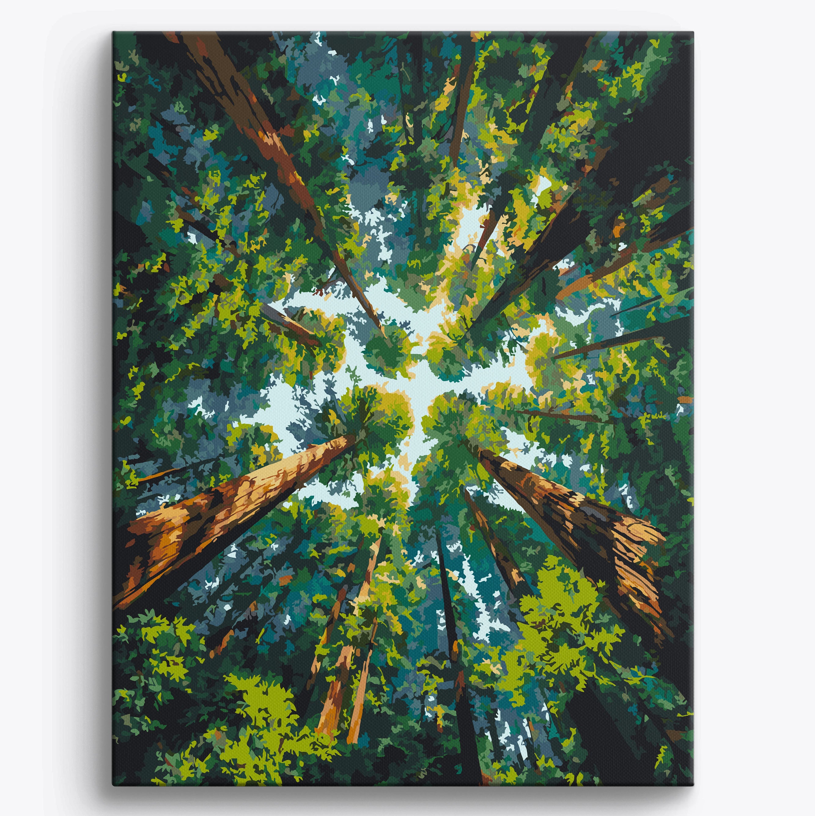 Forest Glow No Frame / 40x50cm