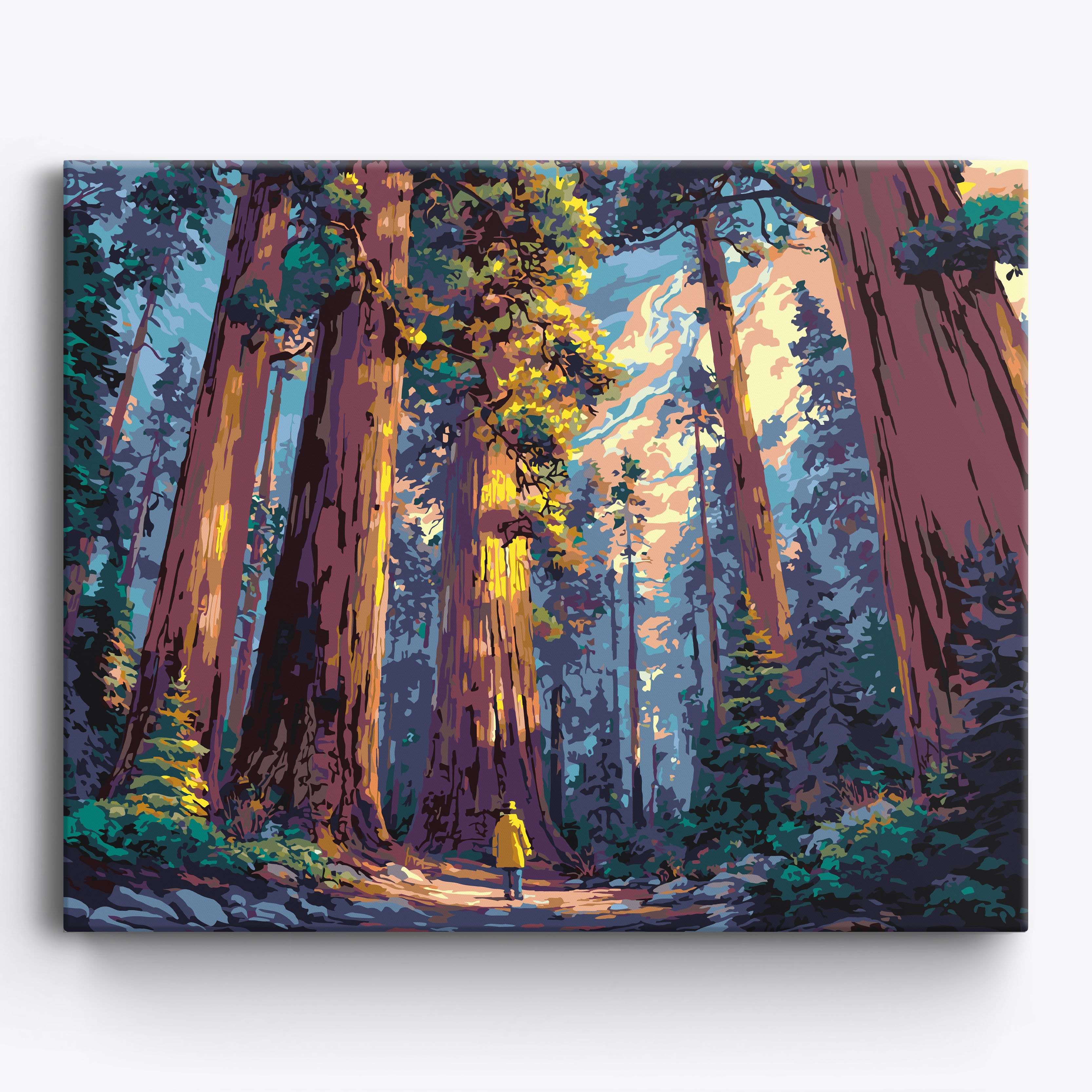 Sequoia Sentinel No Frame / 50x40cm