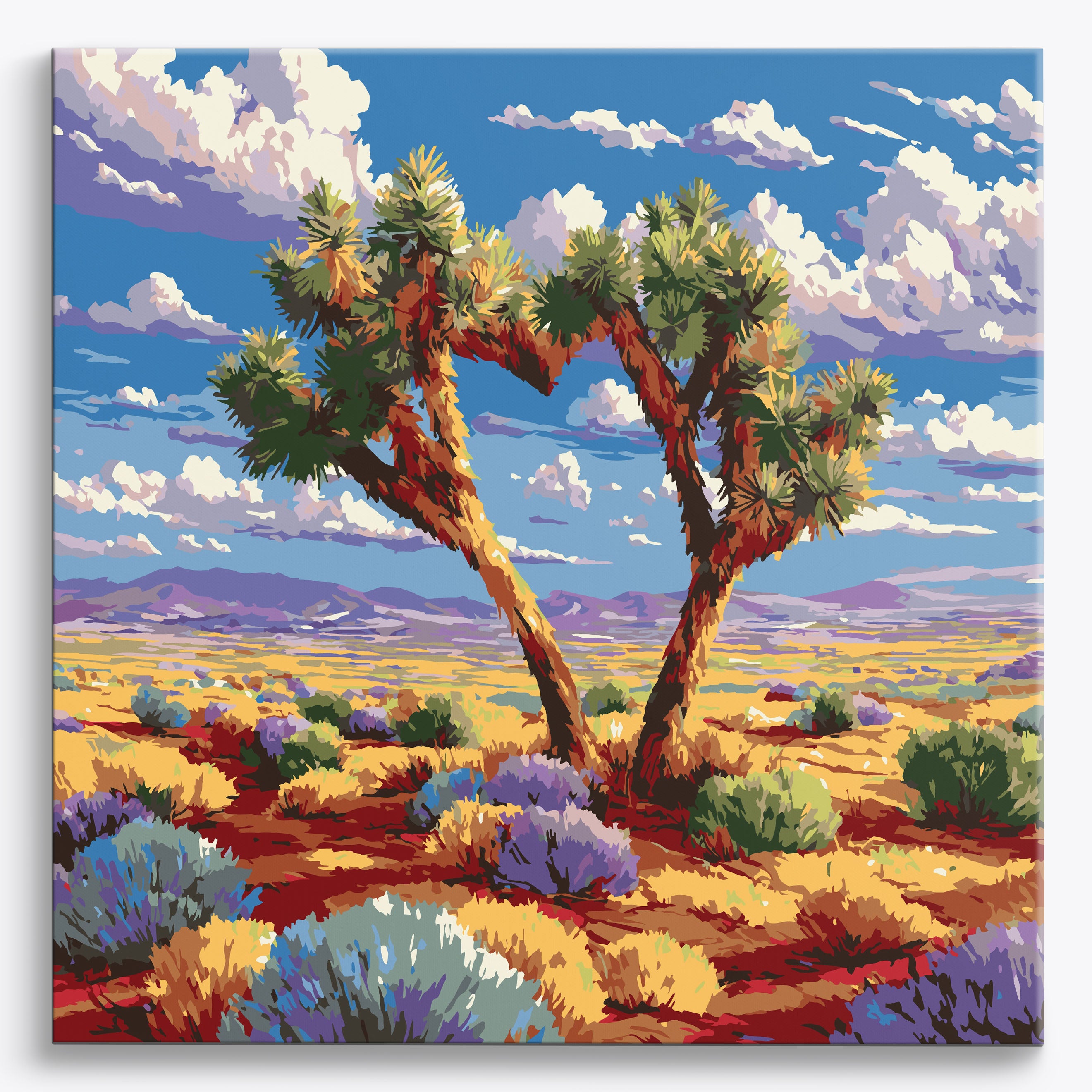 Arid Affection No Frame / 40x40cm