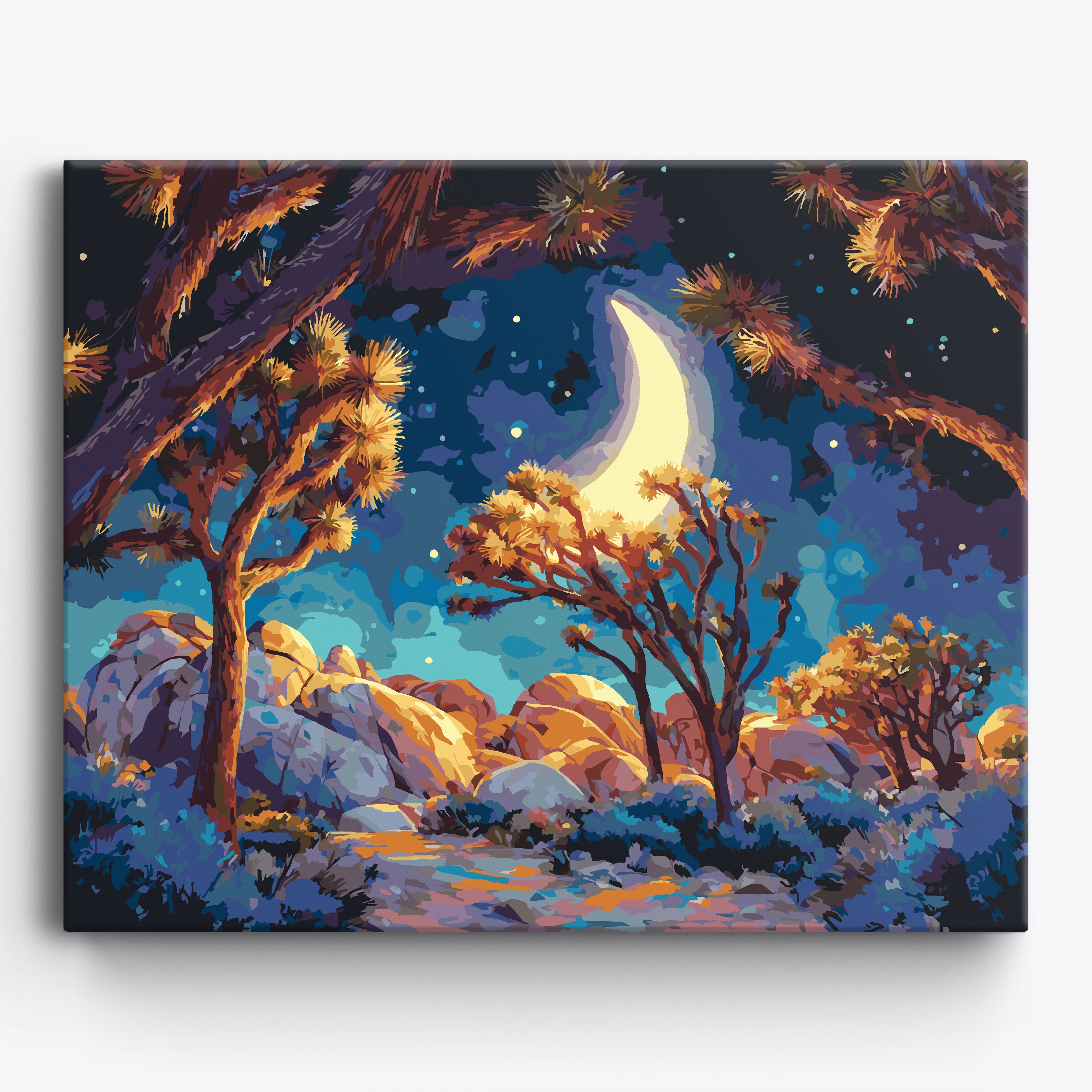 Celestial Desert Night No Frame / 50x40cm
