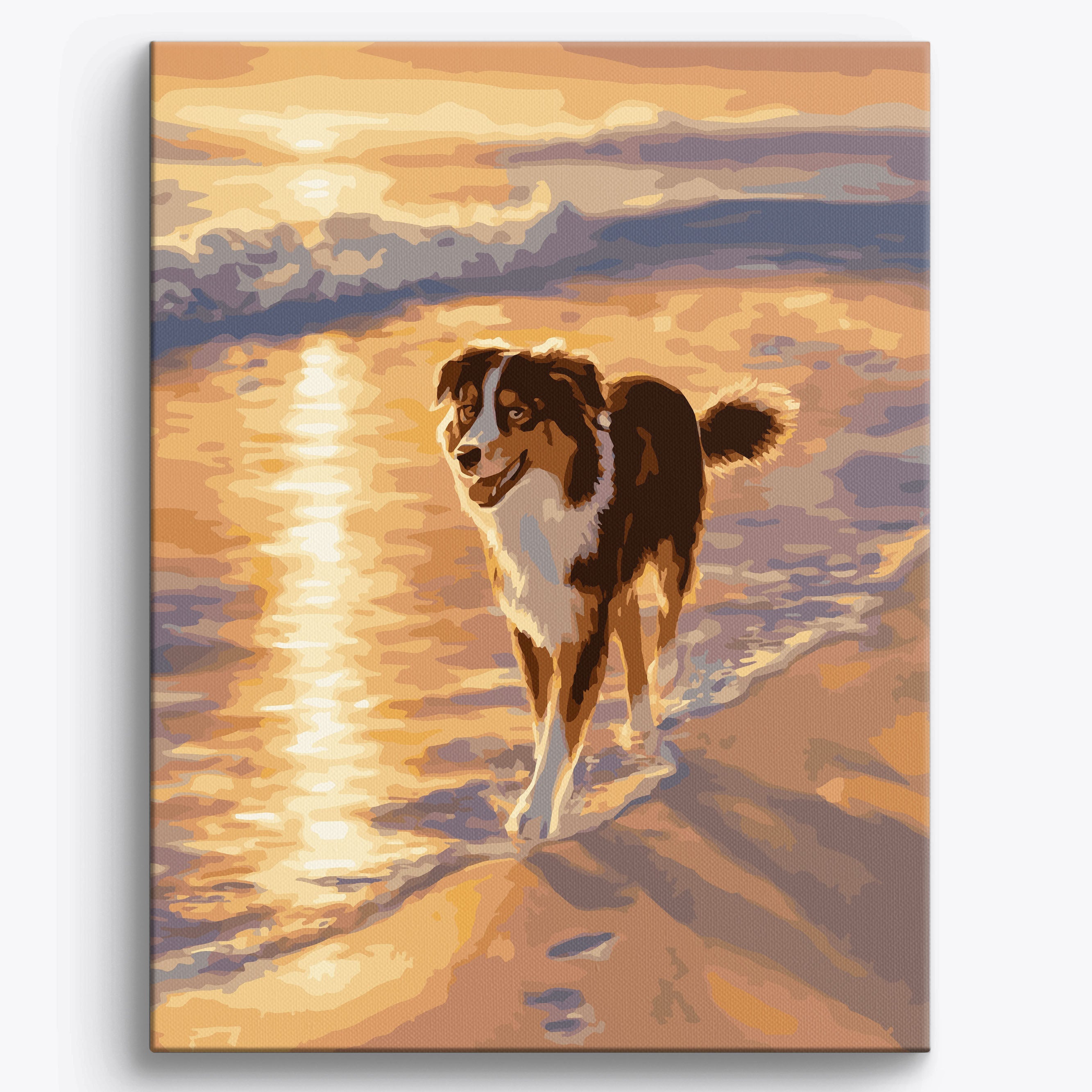 Australian Shepherd Shoreline Framed / 40x50cm