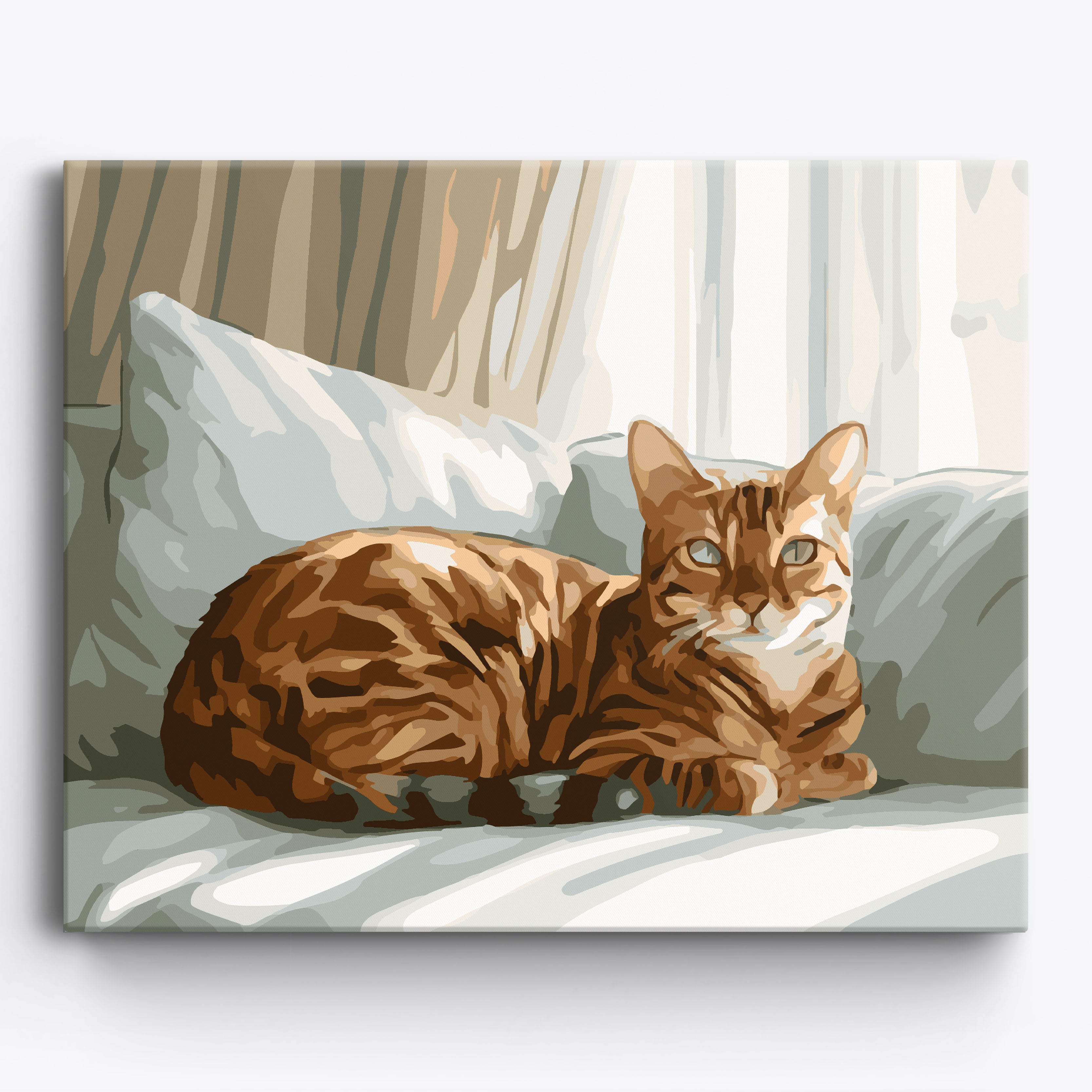 Cozy Bengal Framed / 50x40cm
