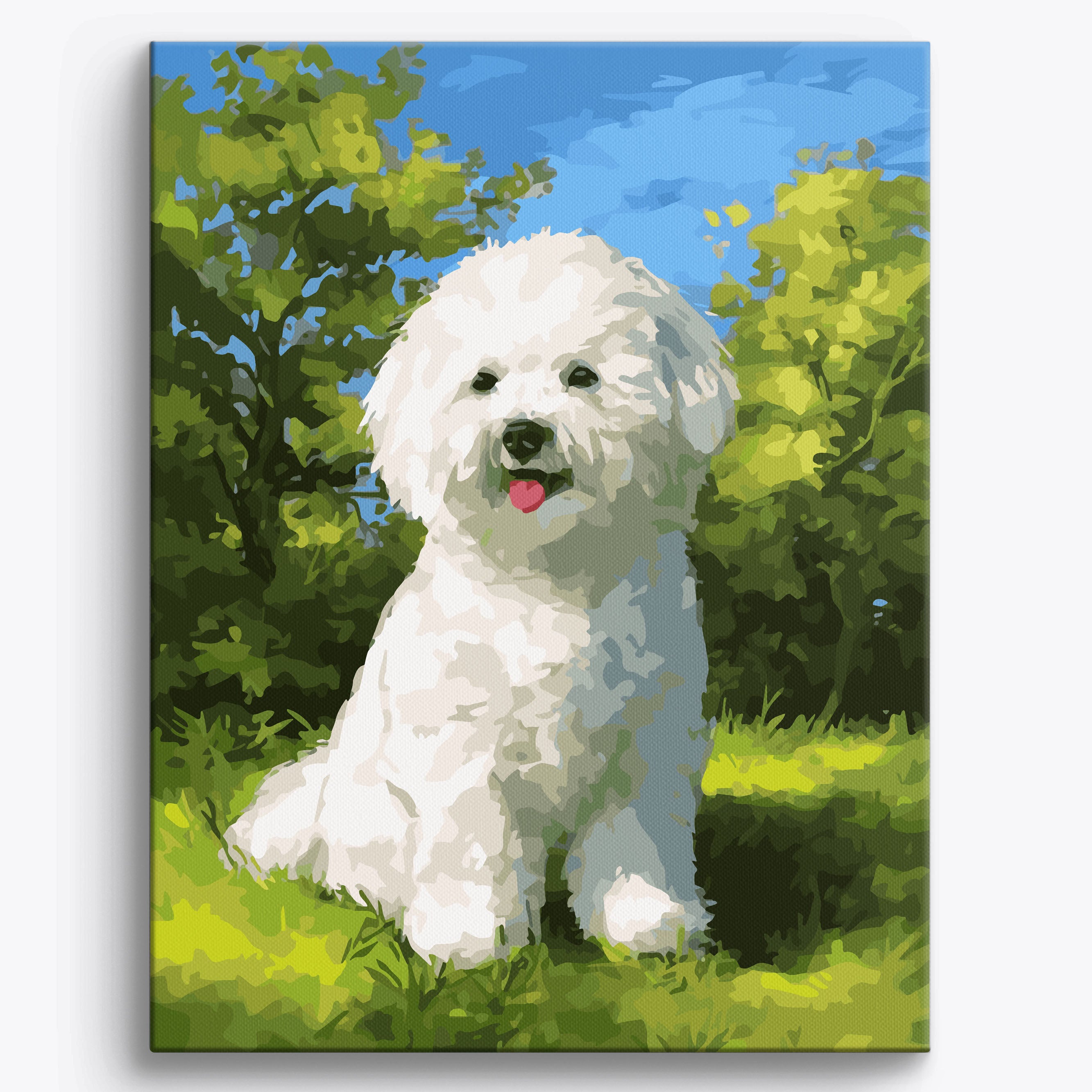 Smiling Bichon Frise Framed / 40x50cm