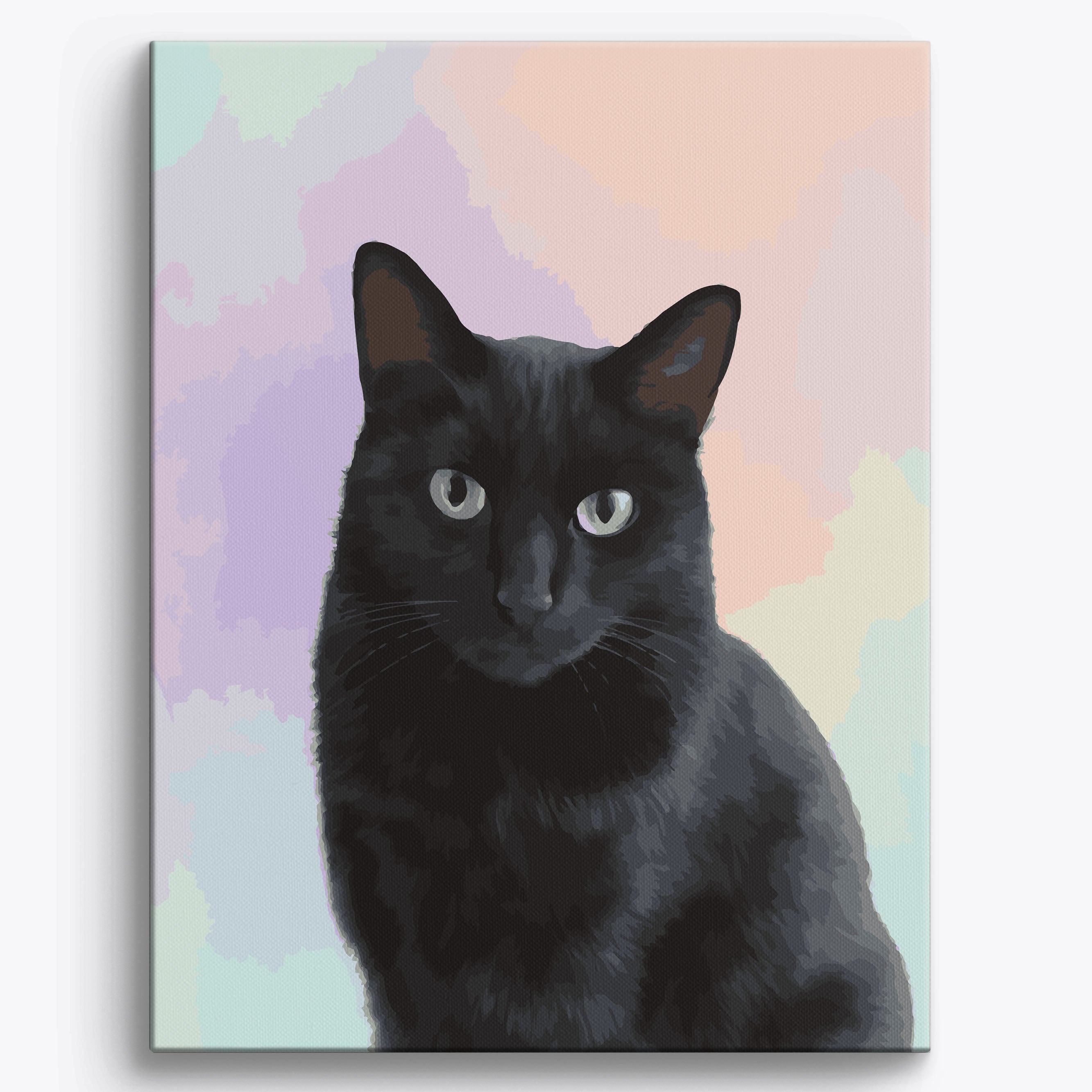 Black Cat Studio Portrait No Frame / 40x50cm