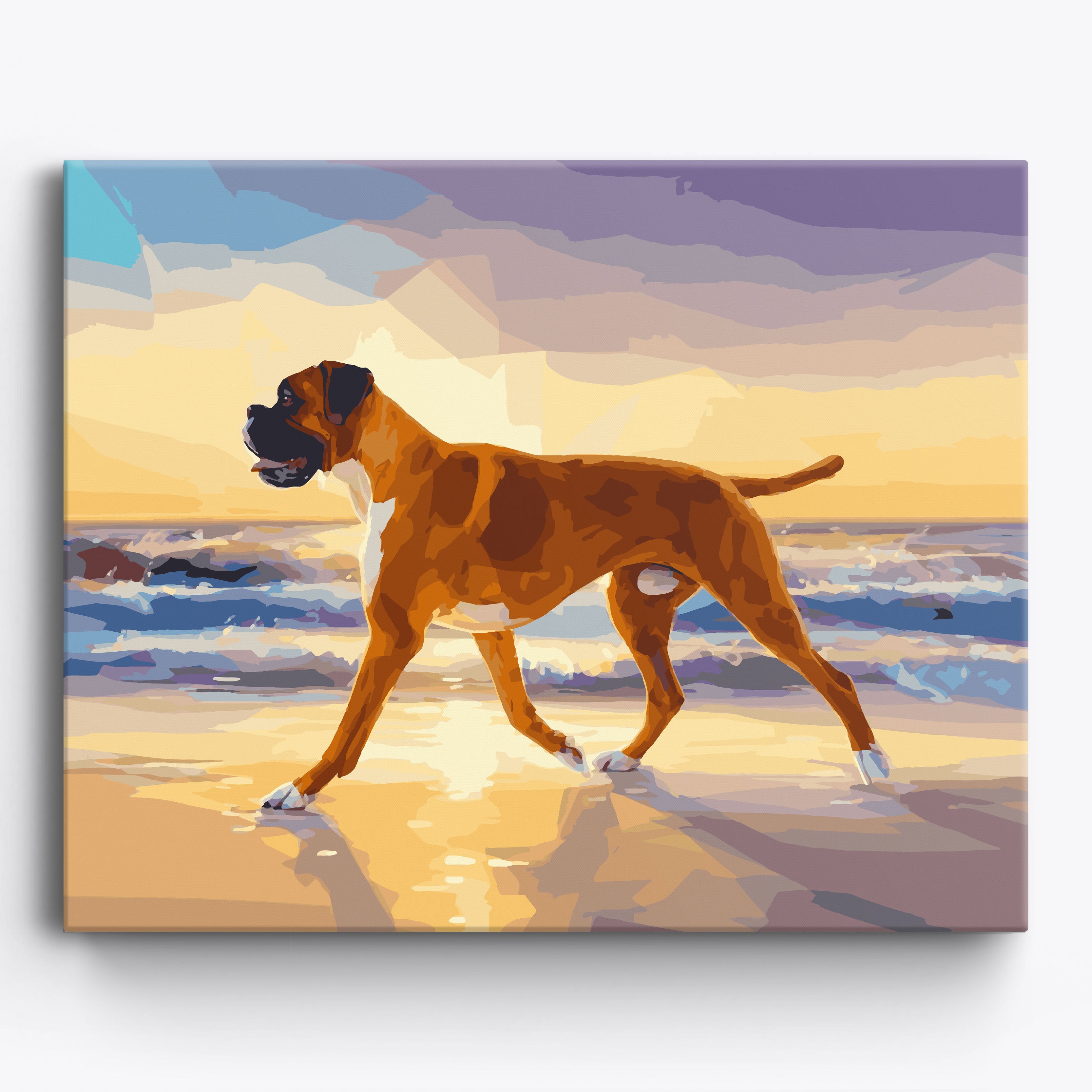 Boxer Beach Framed / 50x40cm