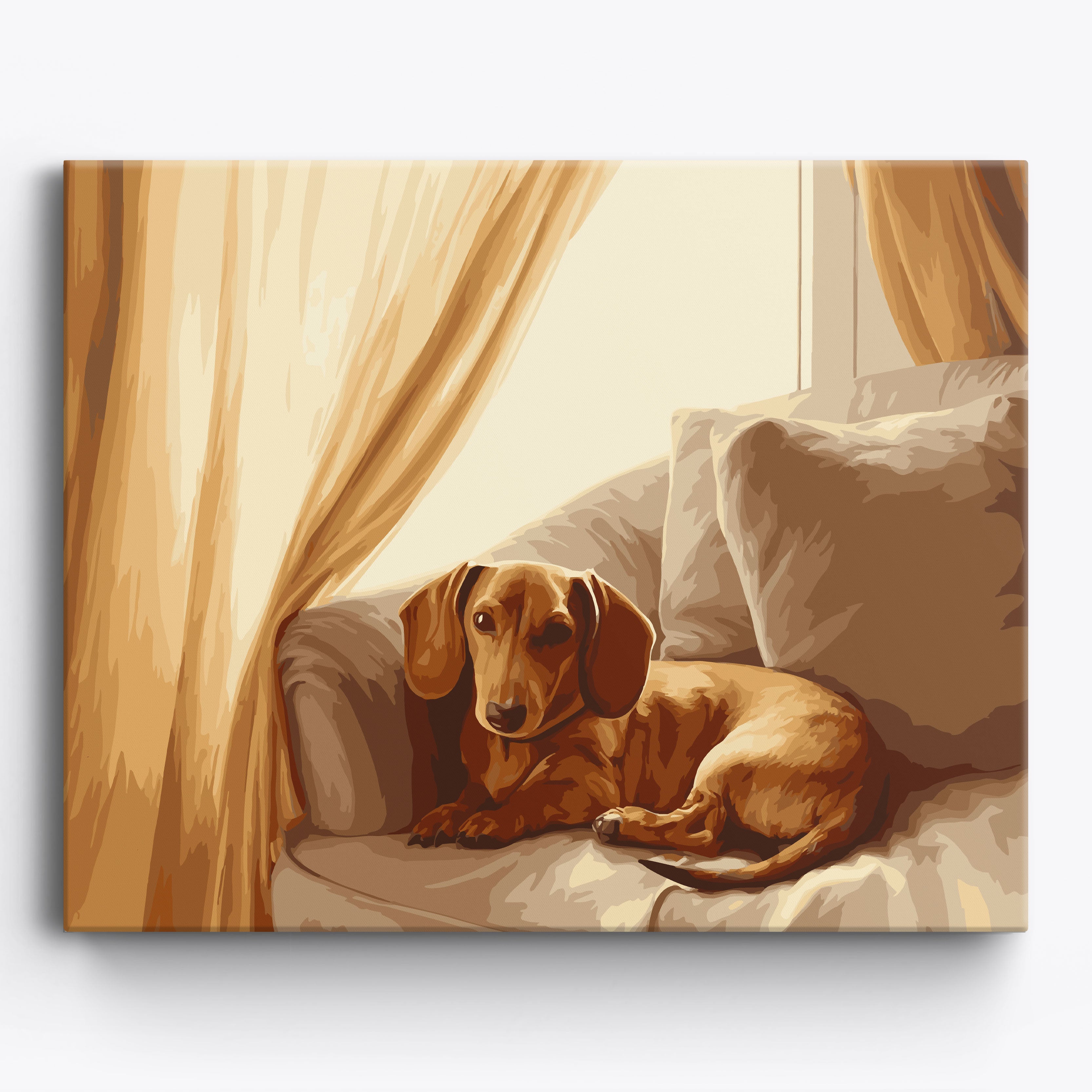 Dachshund Gaze No Frame / 50x40cm