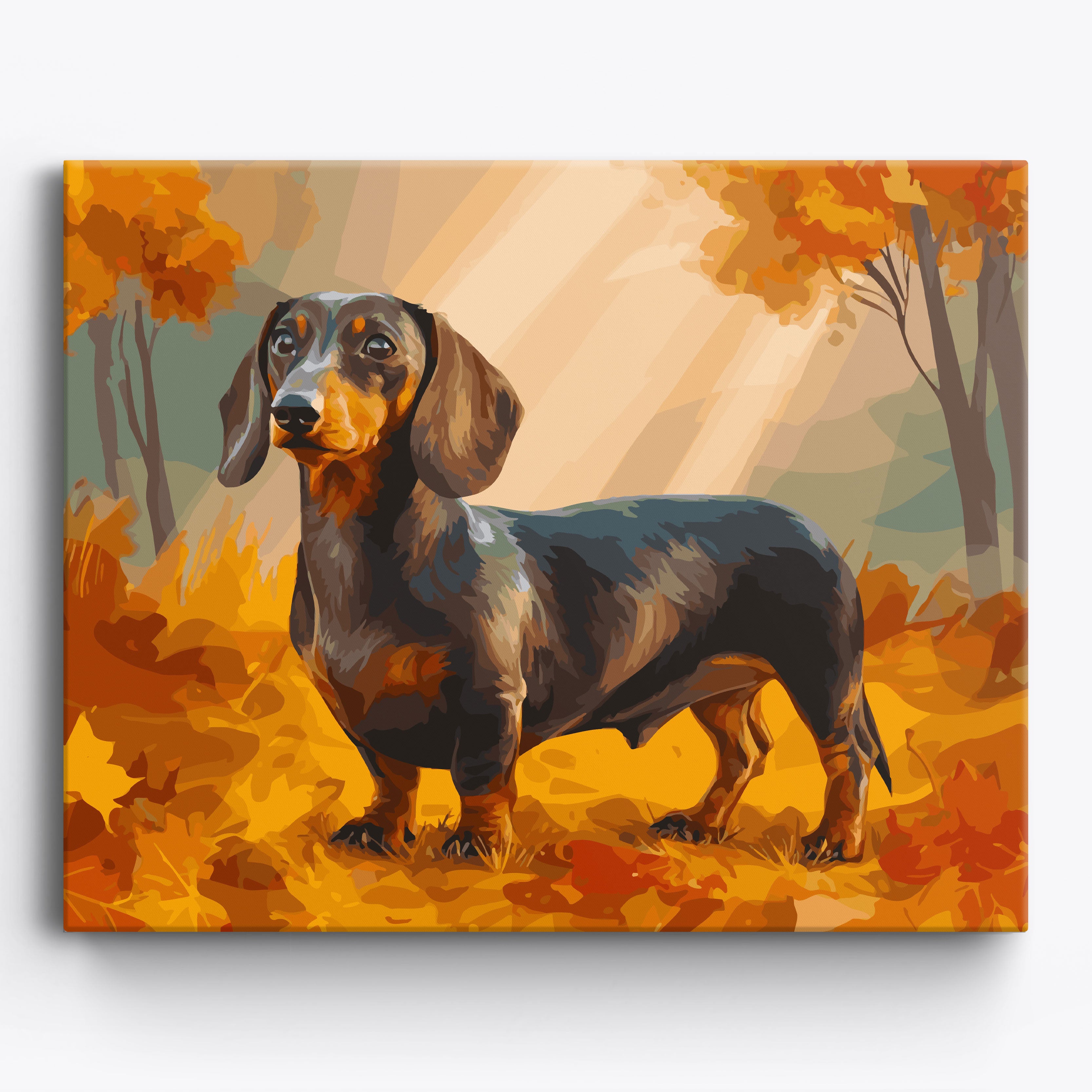 Dachshund Fall Portrait Framed / 50x40cm