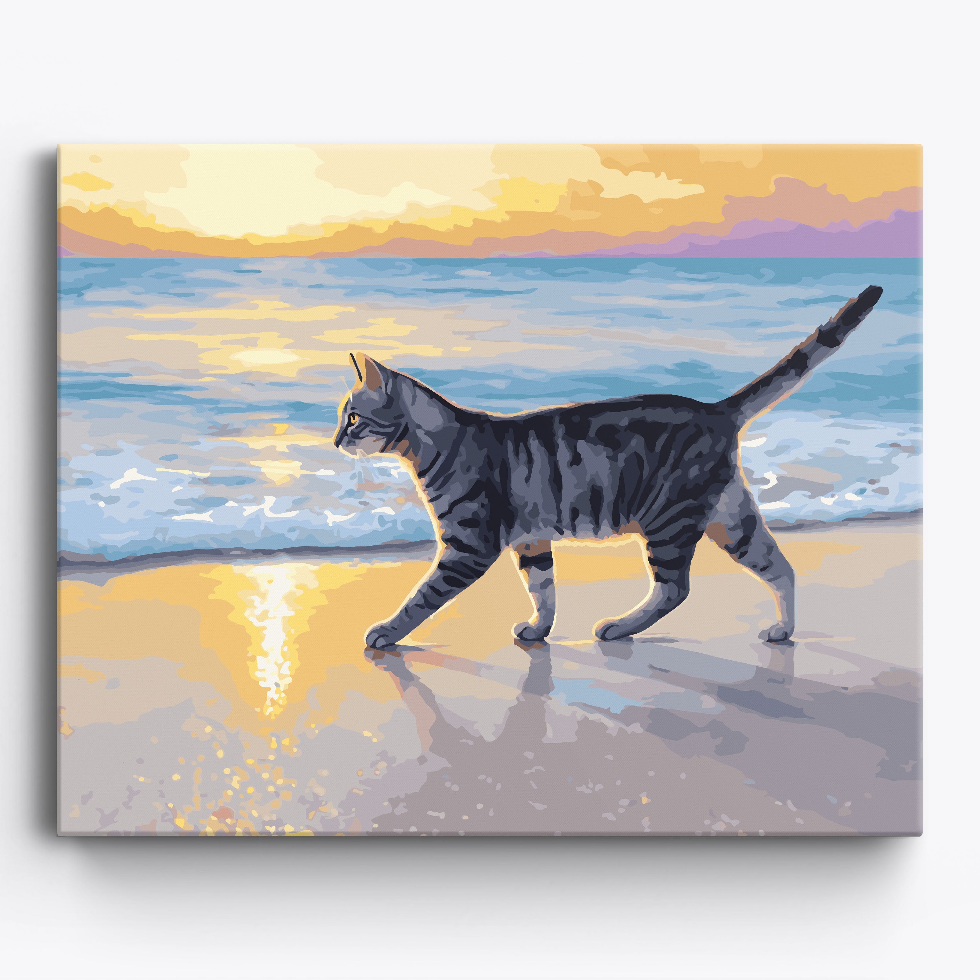 Sunset Tabby No Frame / 50x40cm