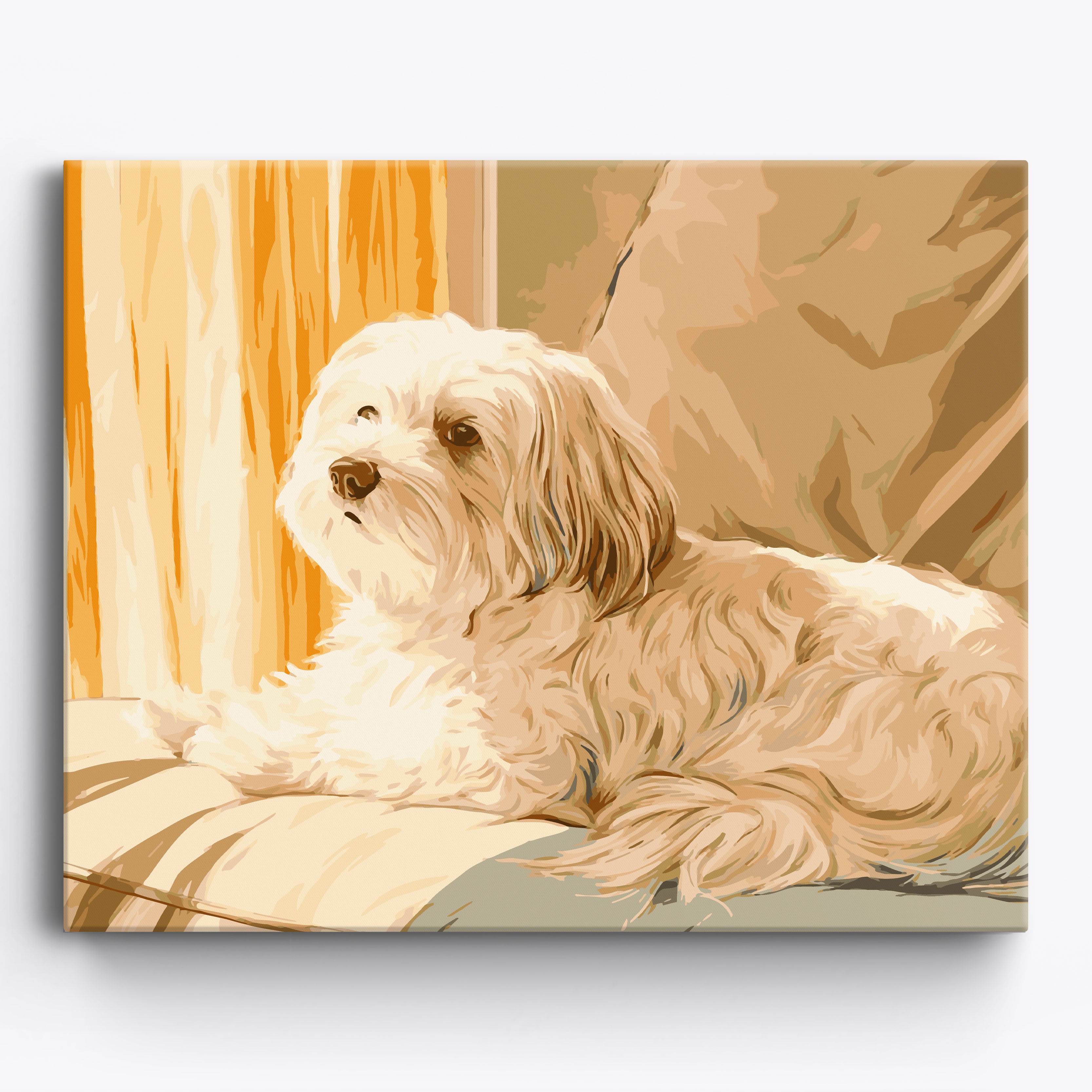 Happy Havanese Framed / 50x40cm