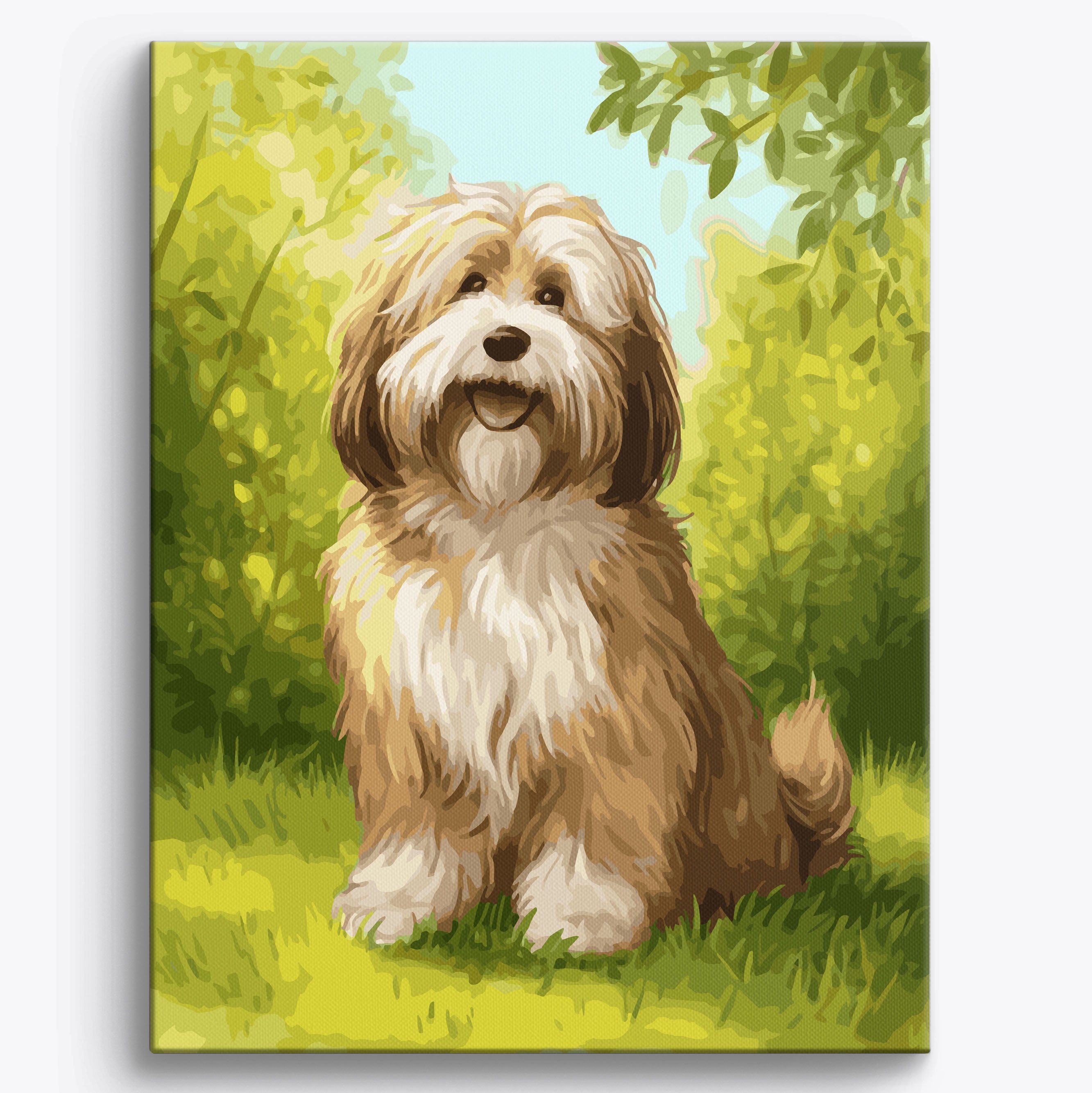 Havanese Garden No Frame / 40x50cm