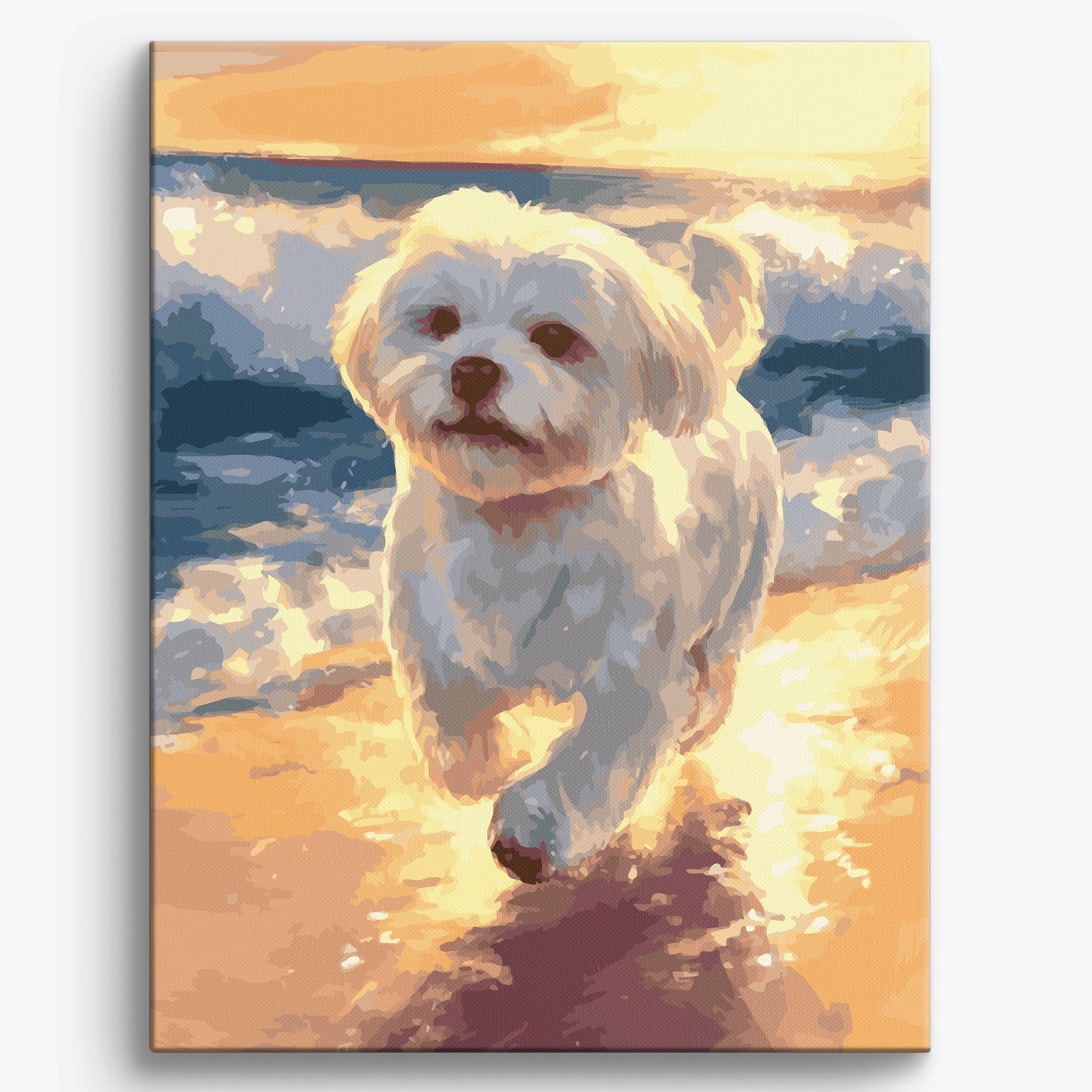 Skipping Maltese Framed / 40x50cm
