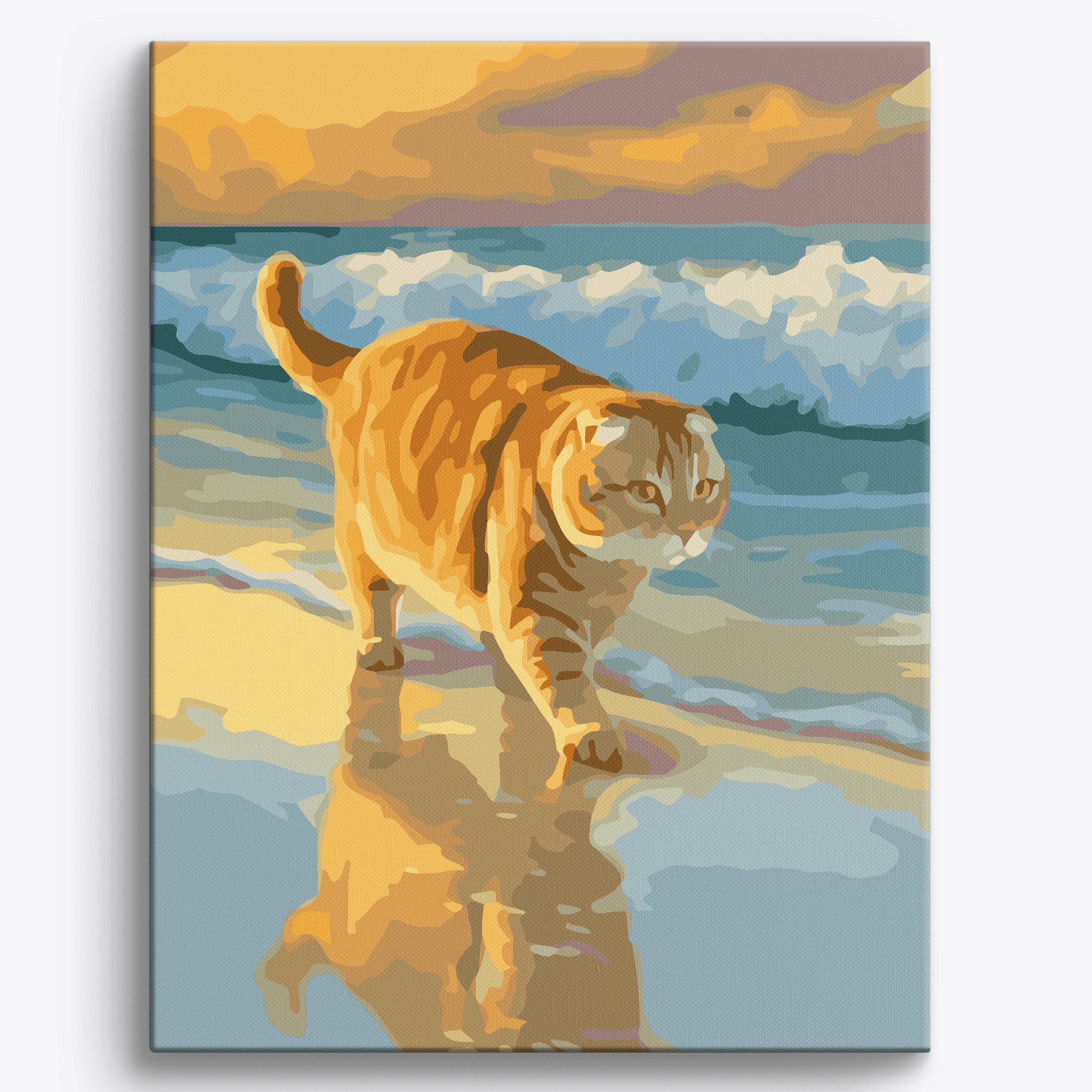 Scottish Fold Beach No Frame / 40x50cm
