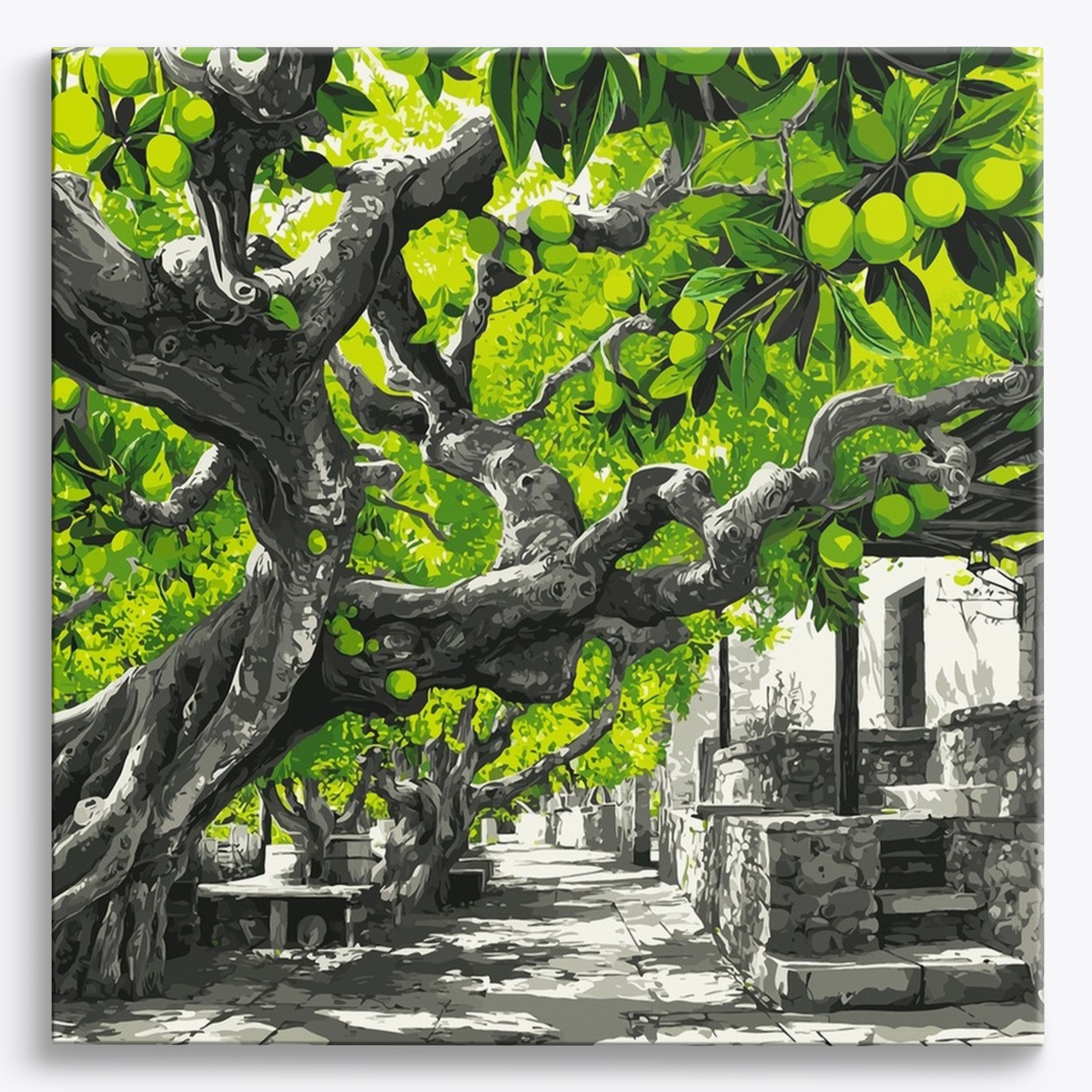 Bloom Lime
