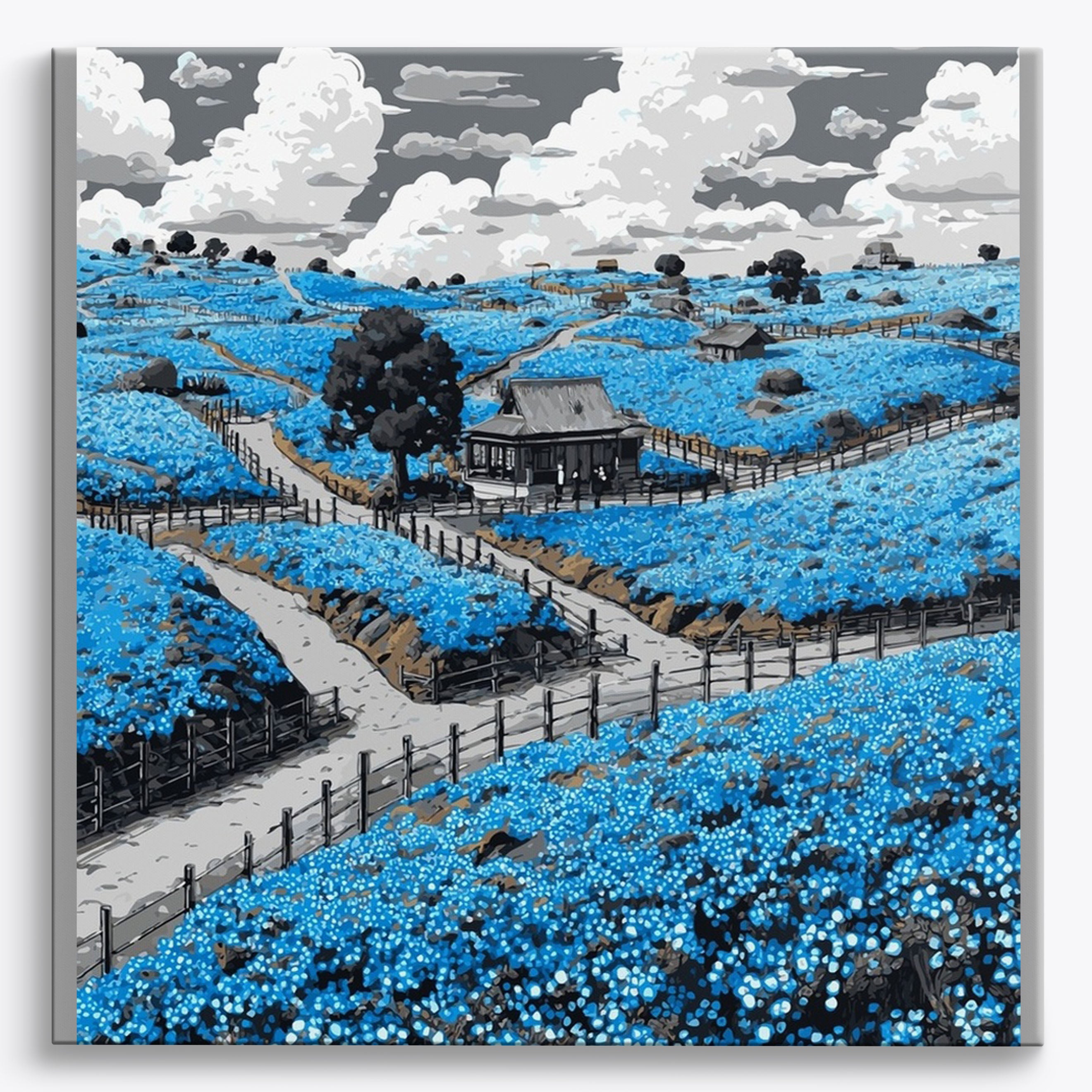 Meadow Pasture