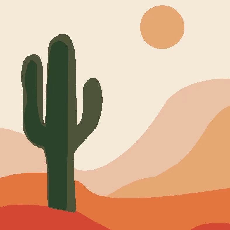 Mini kit Cactus au soleil
