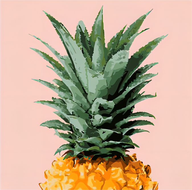 Mini kit ananas abstrait