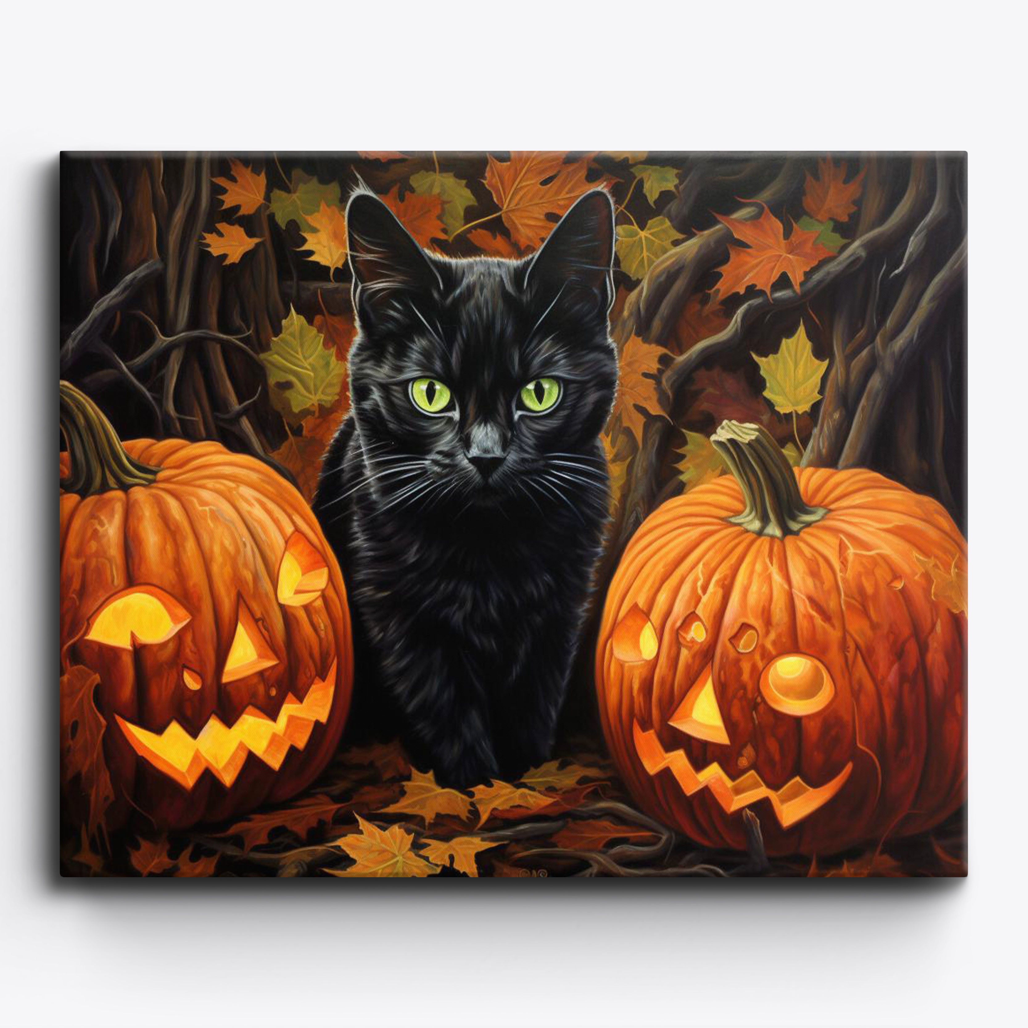 L'avventura della zucca del gatto nero