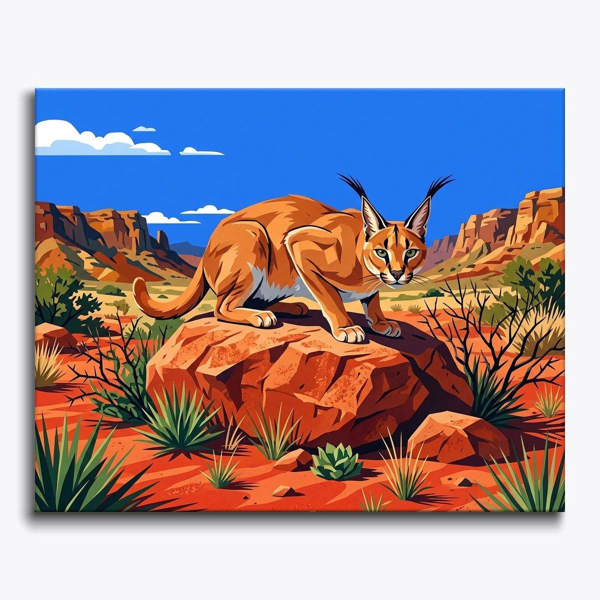 Caracal in Desert