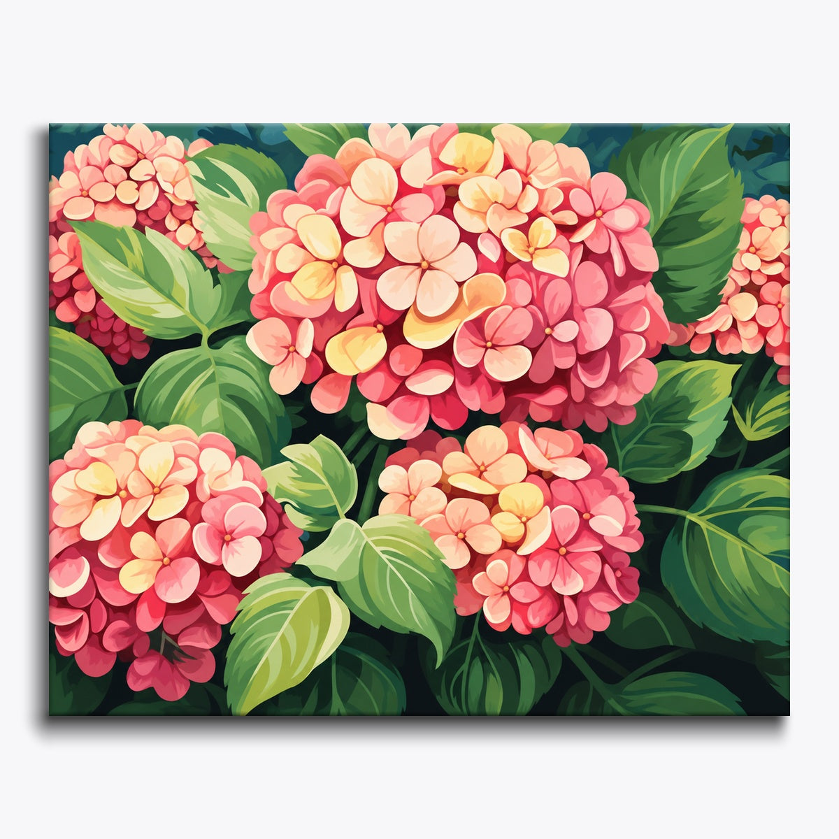 Coral Peach Hydrangeas