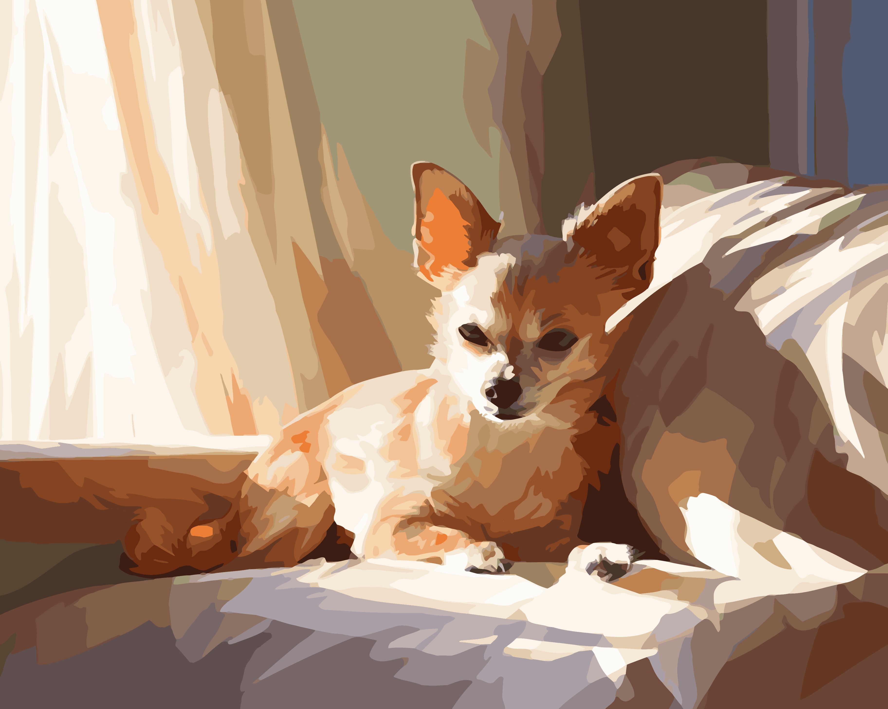 Chihuahua Charm