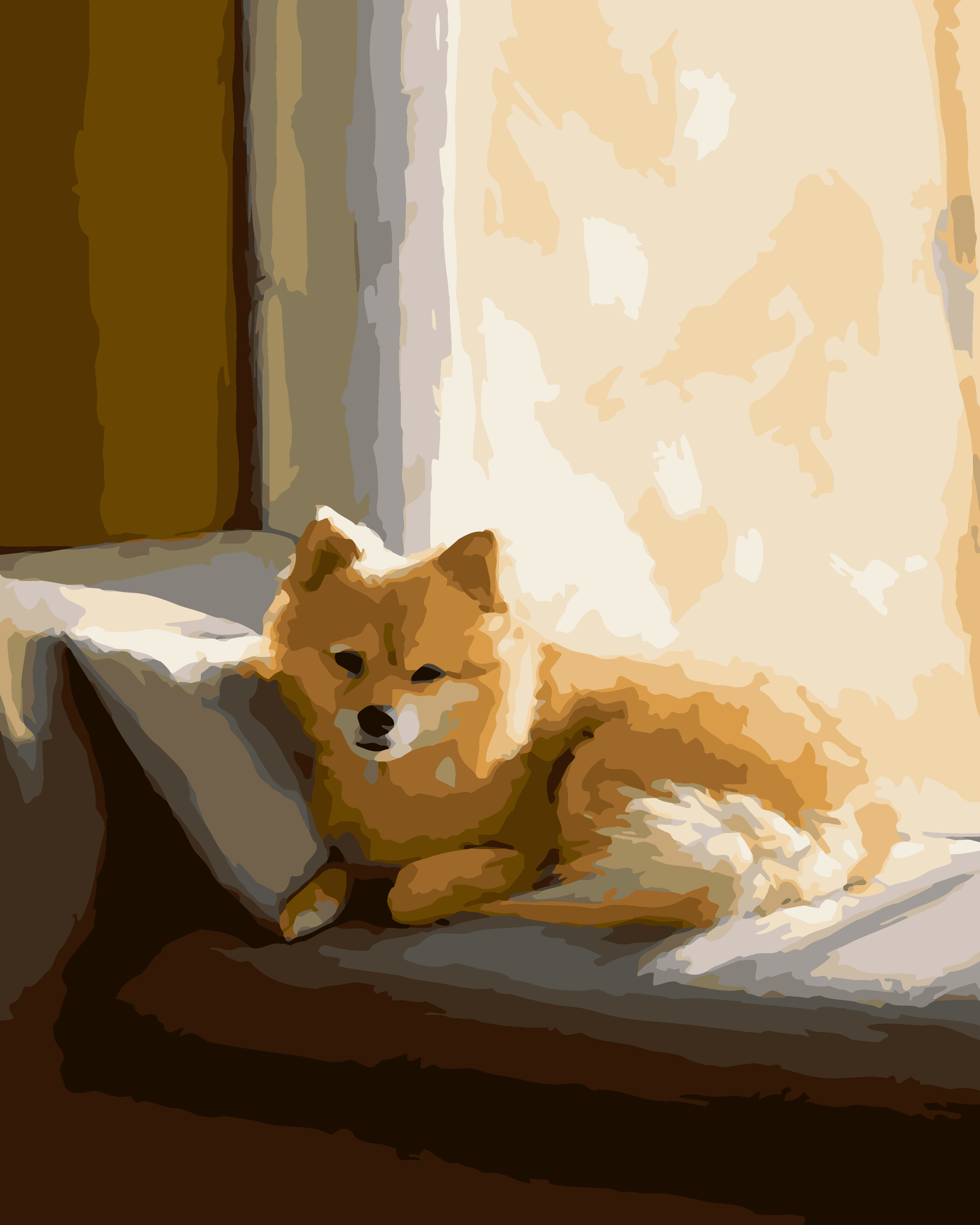 Pampered Pomeranian