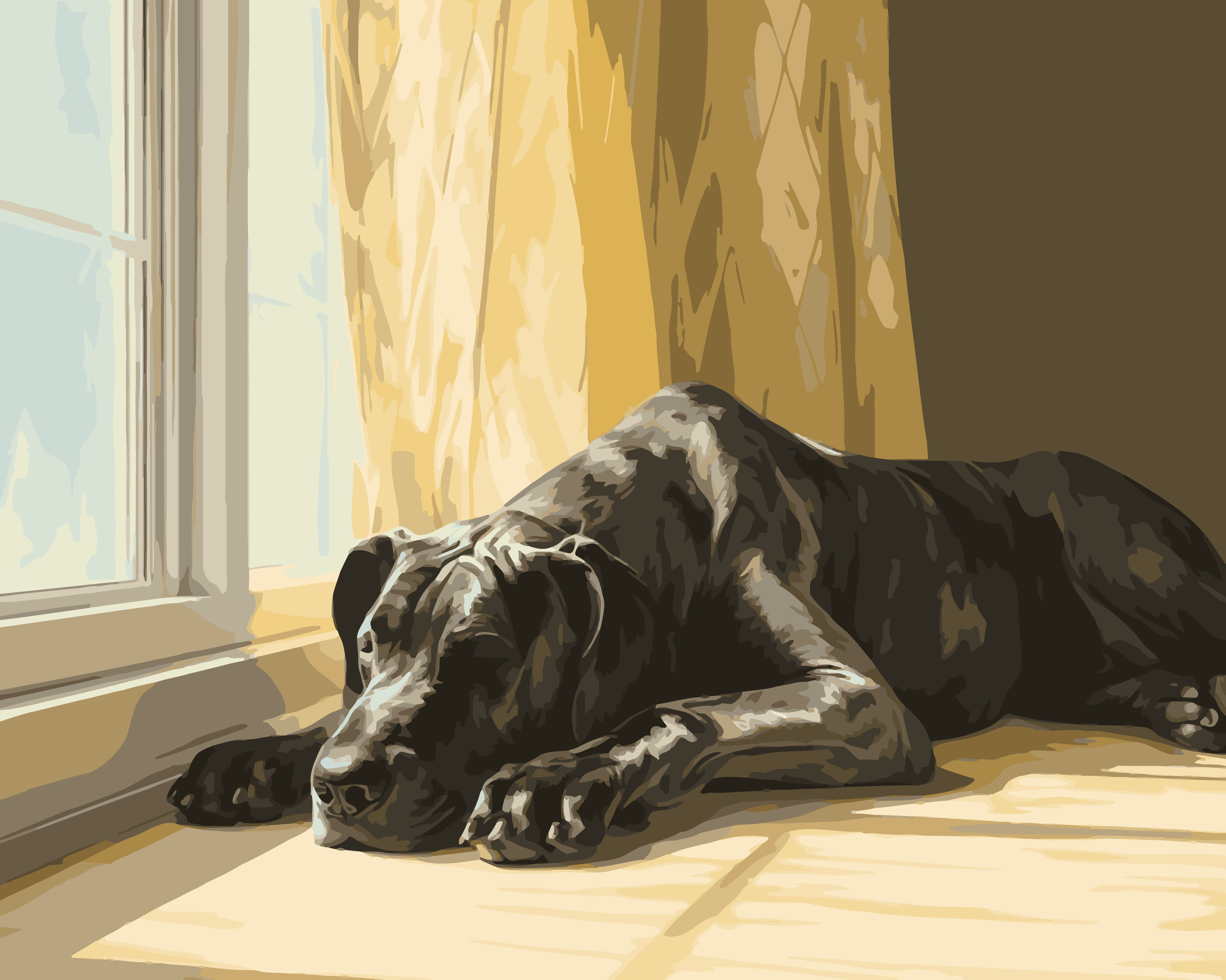 Great Dane Nap