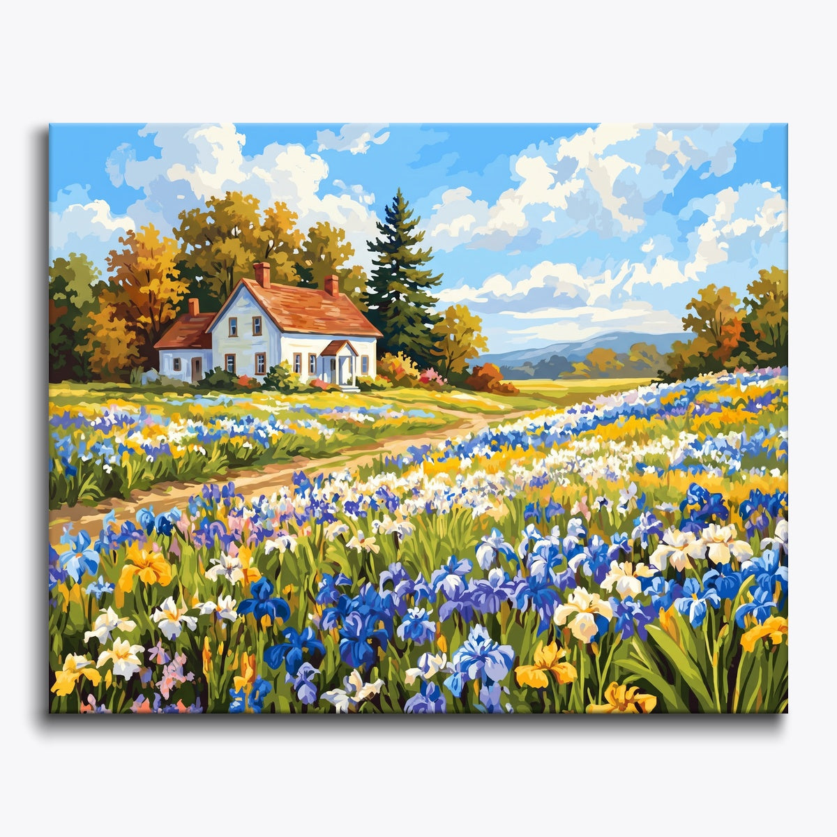 Iris Flower Field