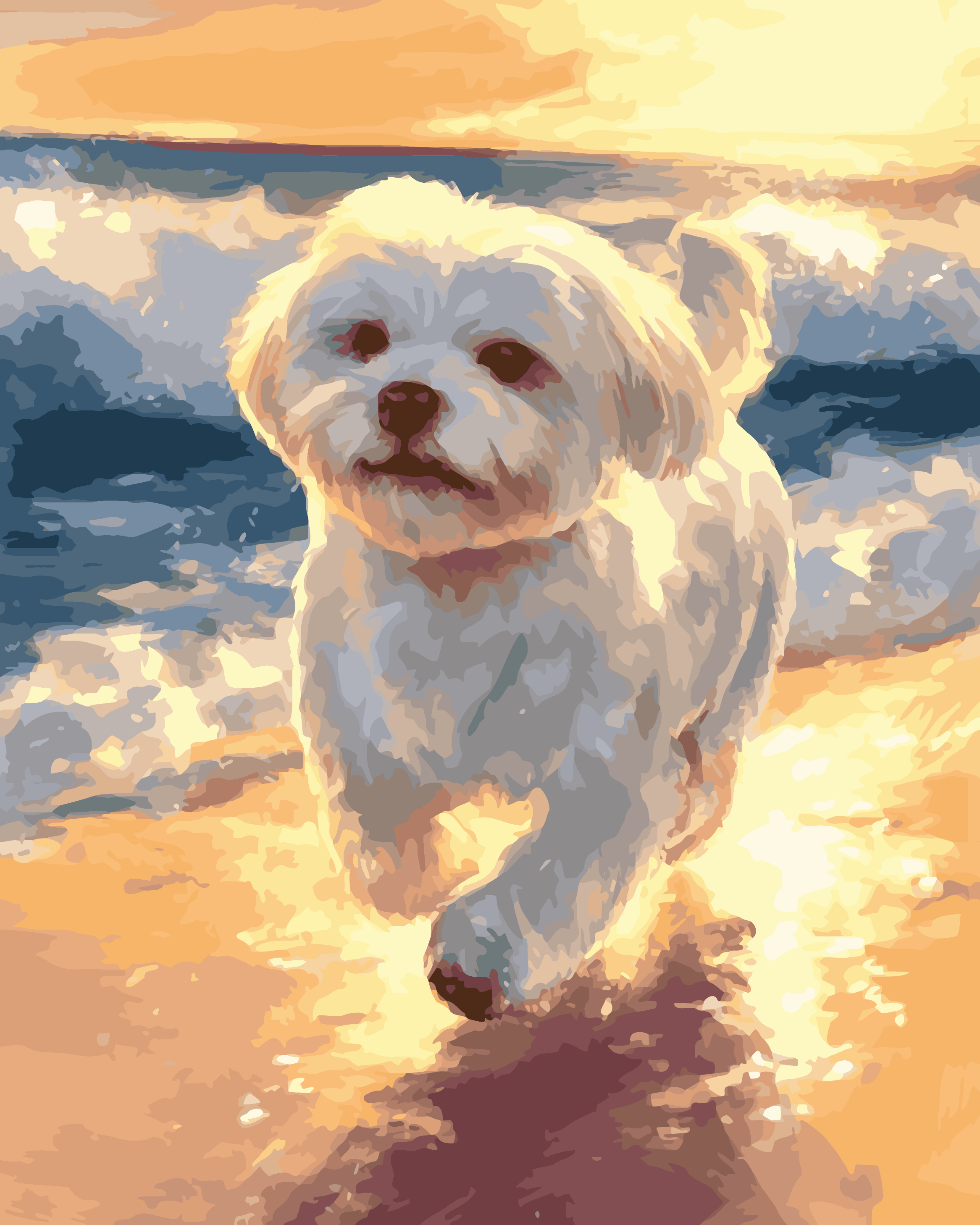 Skipping Maltese