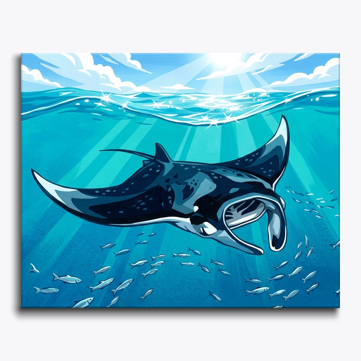 Manta Ray